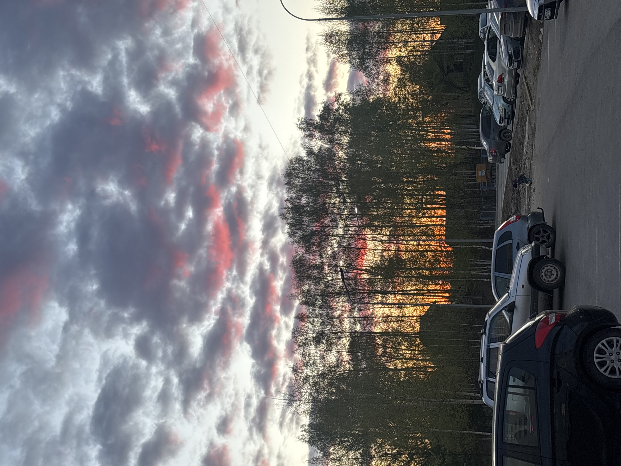The photograph, taken in Perm, Russia, captures a parking lot scene at sunset. The sky is filled with layered clouds, tinged with pink and grey hues. A line of tall, thin trees with bare branches separates the sky from the parking lot. A row of parked cars, including black, grey, and blue models, occupies the right side of the frame. The parking lot pavement is visible in the foreground. A streetlight and overhead wires are present in the sky. The overall lighting suggests dusk or early evening. A few small objects are on the pavement near the parked cars.
