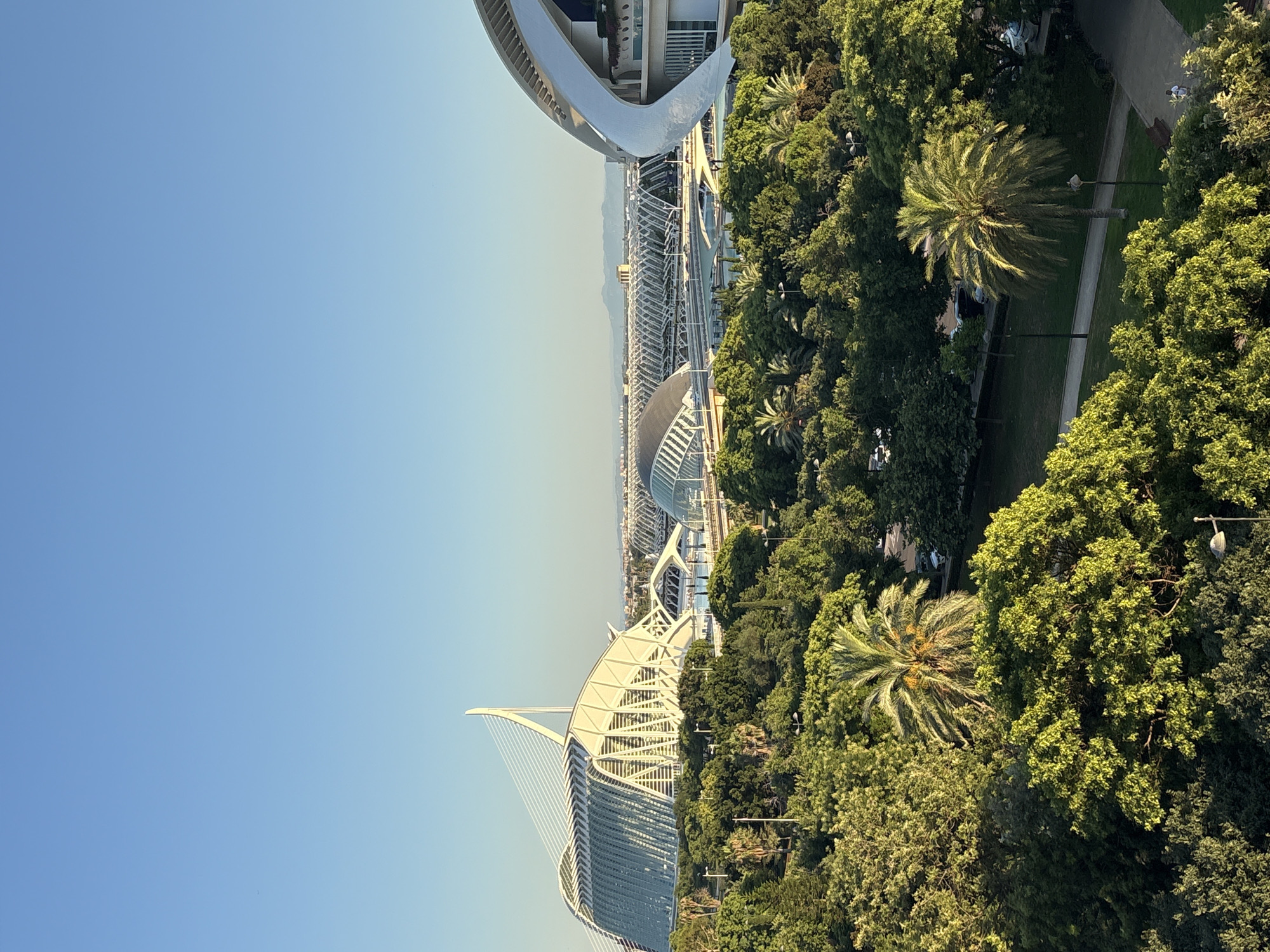 This is an aerial photograph of the City of Arts and Sciences in Valencia, Spain, on a clear day with a bright blue sky. In the foreground, lush green trees dominate the scene, with a prominent palm tree in the center. Beyond the trees, the iconic futuristic architecture of the City of Arts and Sciences is visible.
On the left, the Hemisfèric, a building shaped like a human eye, is partially obscured by trees, but its distinctive structure is recognizable. To its right, the Palau de les Arts Reina Sofía, a building with a dramatic, shell-like roof, is clearly visible. In the background, the Umbracle, a covered walkway with arches, and other elements of the complex can be seen stretching into the distance. The buildings feature white and metallic finishes, contrasting with the vibrant green of the surrounding parkland. The scene is tranquil, with no overt human activity beyond a few distant figures walking on a paved path in the lower right corner of the image. The lighting suggests it is either early morning or late afternoon, casting soft shadows.