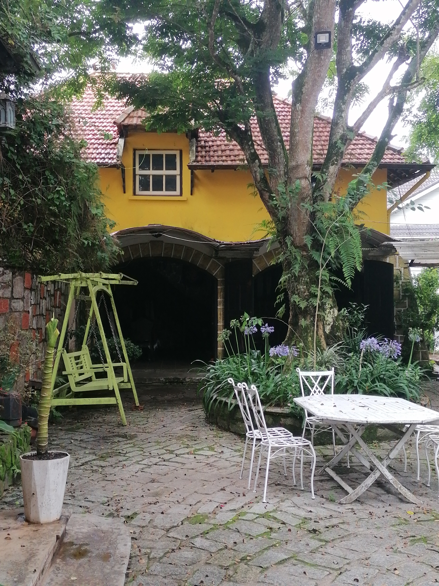 This image captures a serene outdoor setting featuring a charming yellow house with a red tiled roof, nestled amidst abundant greenery. The main subject is the two-story house, which has a distinct European-inspired cottage aesthetic. A small window with white panes is visible on the upper floor, while the ground floor features two dark, arched openings that appear to be entrances or a covered parking area, possibly a garage.
Dominating the foreground and partially obscuring the house is a large, mature tree with a thick, textured trunk and numerous branches covered in lush green leaves and ferns. A modern-looking floodlight is mounted on one of its larger branches. In the garden beds around the base of the tree and along the house, various plants thrive, including several clusters of purple agapanthus flowers.
To the left, a vintage-style green metal swing set stands beside a stone wall, adding a playful touch to the scene. In the right foreground, a white metal octagonal table and three matching chairs with intricate scrollwork are arranged on a stone-paved patio. The furniture shows signs of weathering, contributing to a rustic, lived-in feel. The ground is paved with irregular stone slabs, and fallen leaves and patches of moss are visible, suggesting a natural, slightly unkempt charm. A white, faceted pot containing a small plant sits on a stone step in the left foreground.
No people are present, and no specific activity is taking place, giving the scene a peaceful and inviting ambiance. The soft, diffused lighting suggests it is daytime, possibly overcast, creating gentle shadows. The architectural style, lush vegetation, and tranquil atmosphere are consistent with garden cafes or guest houses found in a scenic, temperate region like Da Lat, Vietnam. There is no visible text in the image. The overall impression is one of a quiet, secluded retreat.