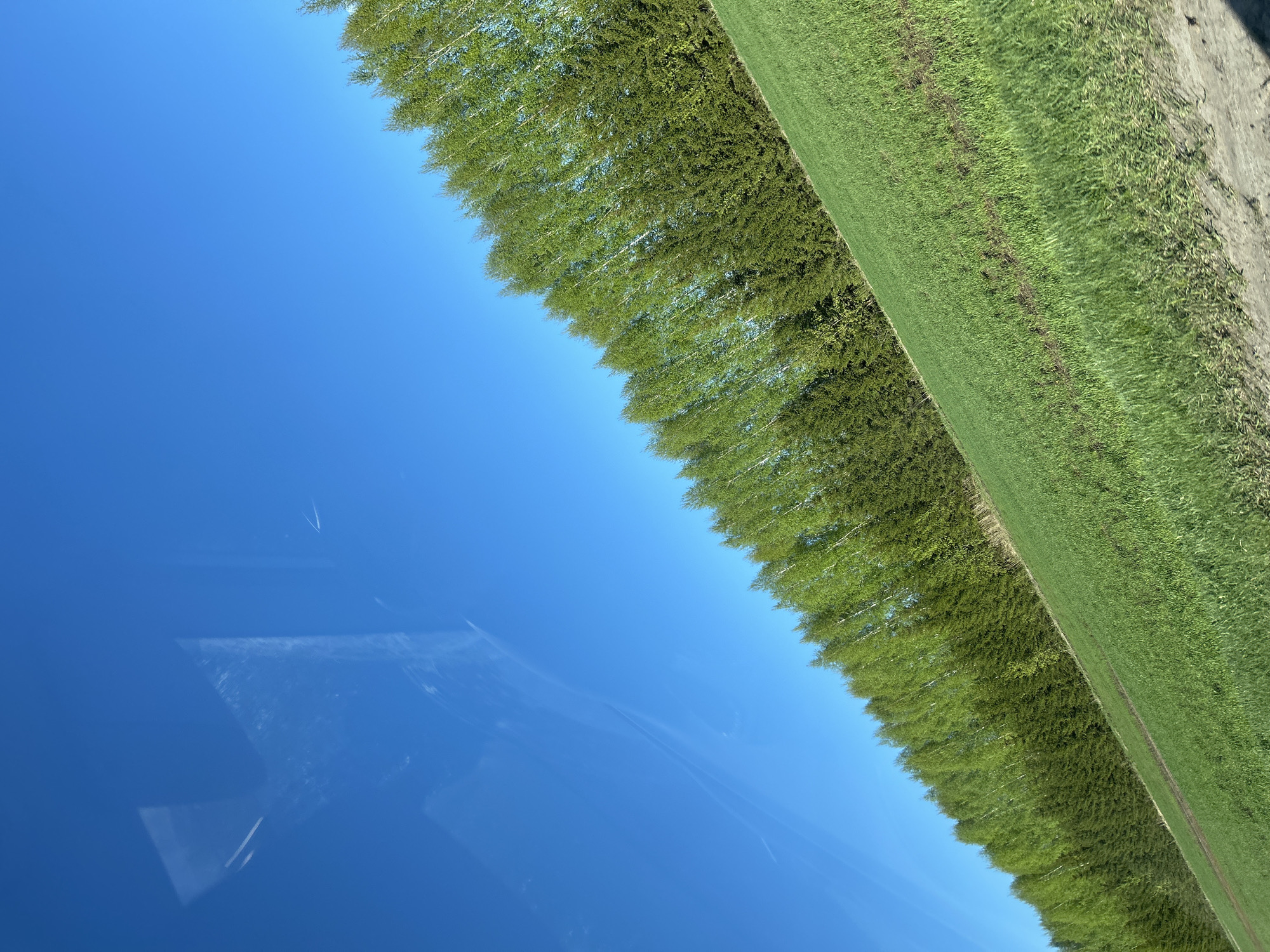 The image depicts a rural scene in Терси, Russia, with a vibrant blue sky dominating the left side of the frame. A row of closely planted trees with green foliage extends along the upper-right diagonal, bordering a field of lush green grass. A dirt path runs alongside the grass. Reflections are visible in the bottom-left corner, suggesting the photo was taken from inside a vehicle.