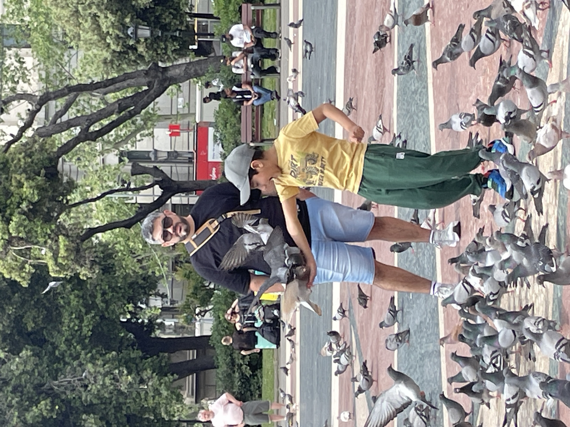 This image captures a man and a young boy interacting with pigeons in an outdoor plaza or park, likely in Barcelona, Spain. The main subjects are positioned centrally, surrounded by numerous pigeons on the ground, perched on their arms, and in flight. The man, wearing a black t-shirt, light blue shorts, sunglasses, and a black and brown strap across his chest, has pigeons resting on his left arm and shoulder. The boy, dressed in a yellow t-shirt, dark green trousers, and a grey baseball cap, stands close to the man, also with pigeons around him and on his arm. Visible text on the boy's yellow t-shirt reads "DIRT RALLY PARTY."
The setting is a public space with a paved ground featuring broad, alternating stripes of reddish-brown and a lighter greyish-blue. Large, leafy green trees with thick foliage dominate the background, providing natural shade. Several park benches are visible among the trees, occupied by other people casually enjoying the space. Modern buildings with visible windows are discernible further in the background.
The scene takes place during the daytime, under bright, natural light, indicating clear weather. The overall atmosphere is lively and engaging, capturing a common urban interaction with wildlife. The emotional tone appears joyful and focused, particularly from the boy who is engrossed in the experience with the birds.