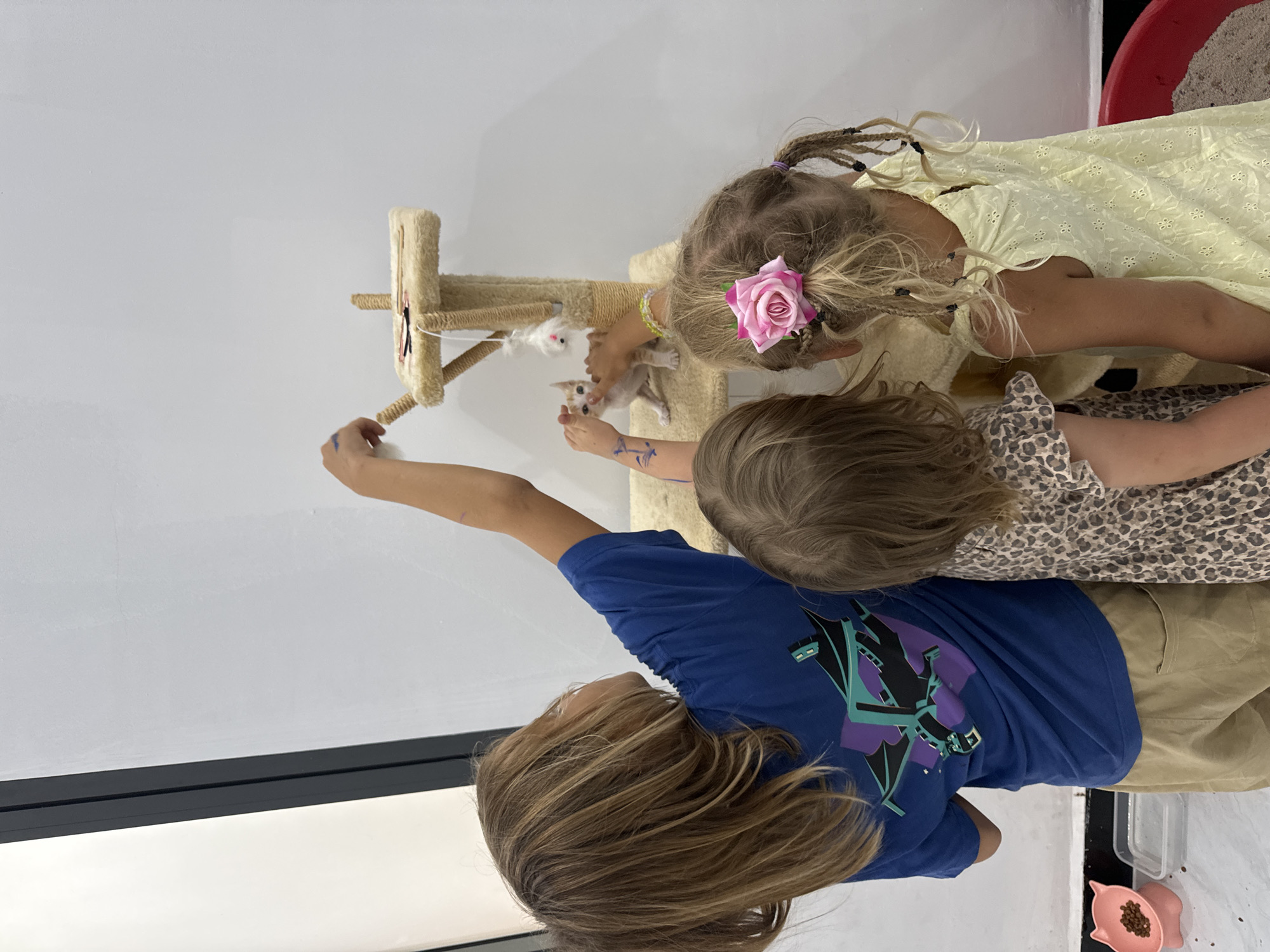 The image shows three children interacting with a kitten and a cat tree. A girl in a yellow dress and with a pink flower in her hair is sitting on the right side of the image, near the cat tree. Another child, wearing an animal print top, is sitting next to her. A third child in a blue t-shirt is standing and holding a toy on a stick near the cat tree. The kitten is on the cat tree, appearing to be engaged in play. A red bin filled with sand is visible in the background. Based on the presence of a cat tree and kitten, it might be assumed this is an indoor scene, perhaps a room in a house or a shop. The location, Mũi Né, Vietnam, can't be confirmed.
