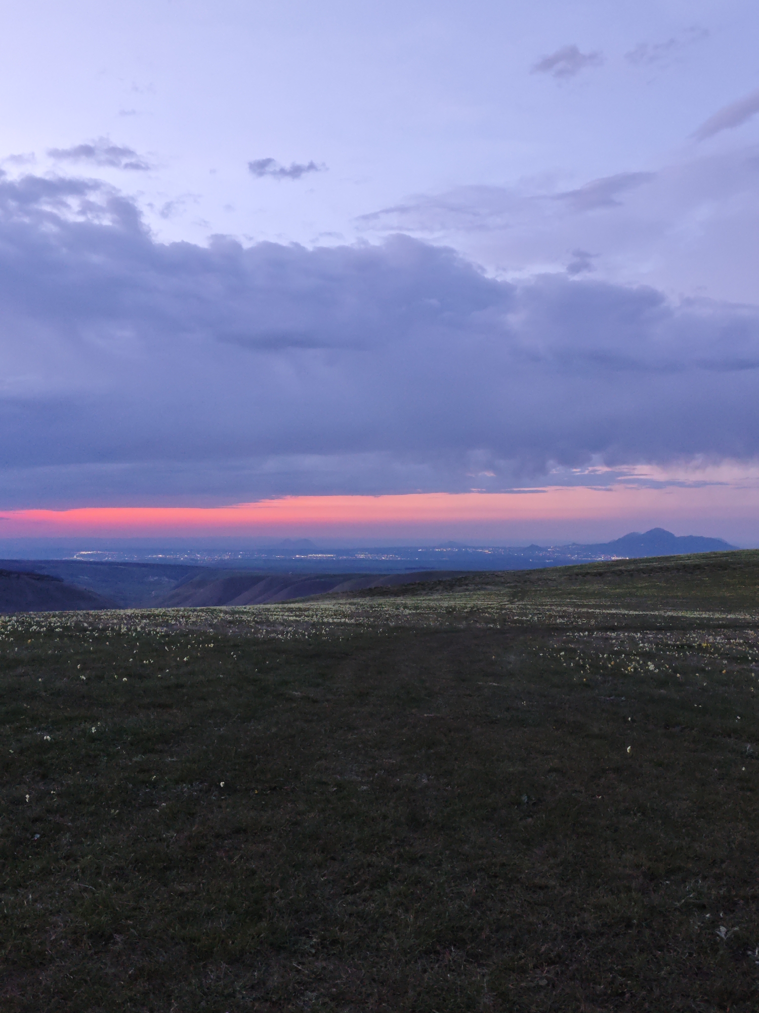 The image shows a landscape with a field of grass and small white flowers in the foreground, likely located in Urozhainyi, Russia. In the distance, a red-orange horizon line indicates a sunset or sunrise, with the faint lights of a city visible below it. Above the horizon, the sky is filled with purple-grey clouds. A mountain silhouette is discernible on the right side of the horizon. No people are visible in the image.
