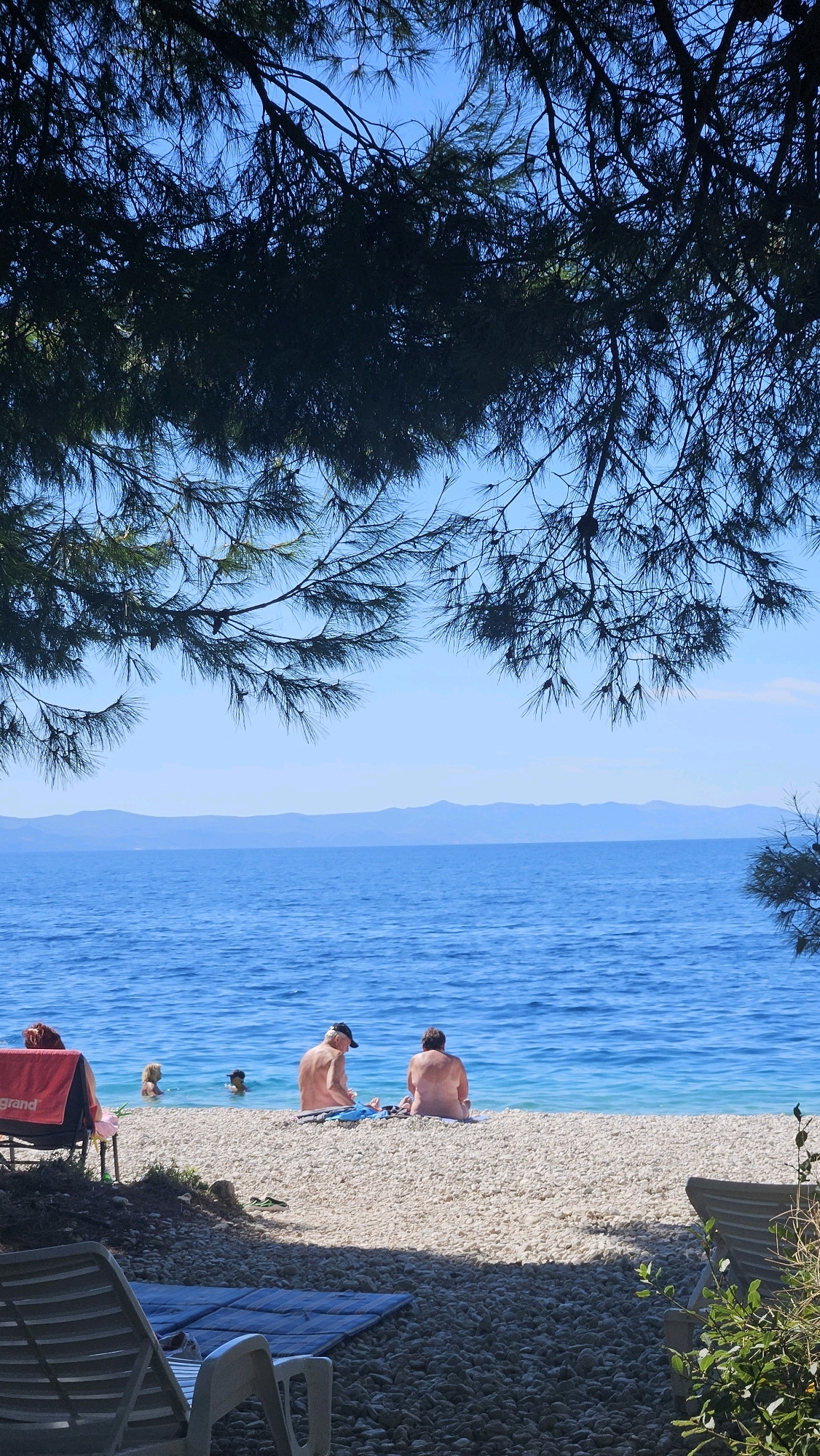 The image depicts a pebble beach with people sunbathing and swimming in the Adriatic Sea. In the foreground, several empty lounge chairs are visible, suggesting a resort or public beach area. Two individuals are seated on the beach, facing the water, while others are in the sea. A red towel is draped over a chair on the left. The background shows a clear blue sky and distant hills. The scene is framed by the dark branches of pine trees. This location is likely within Općina Podgora, Croatia, known for its coastal resorts and beaches.
