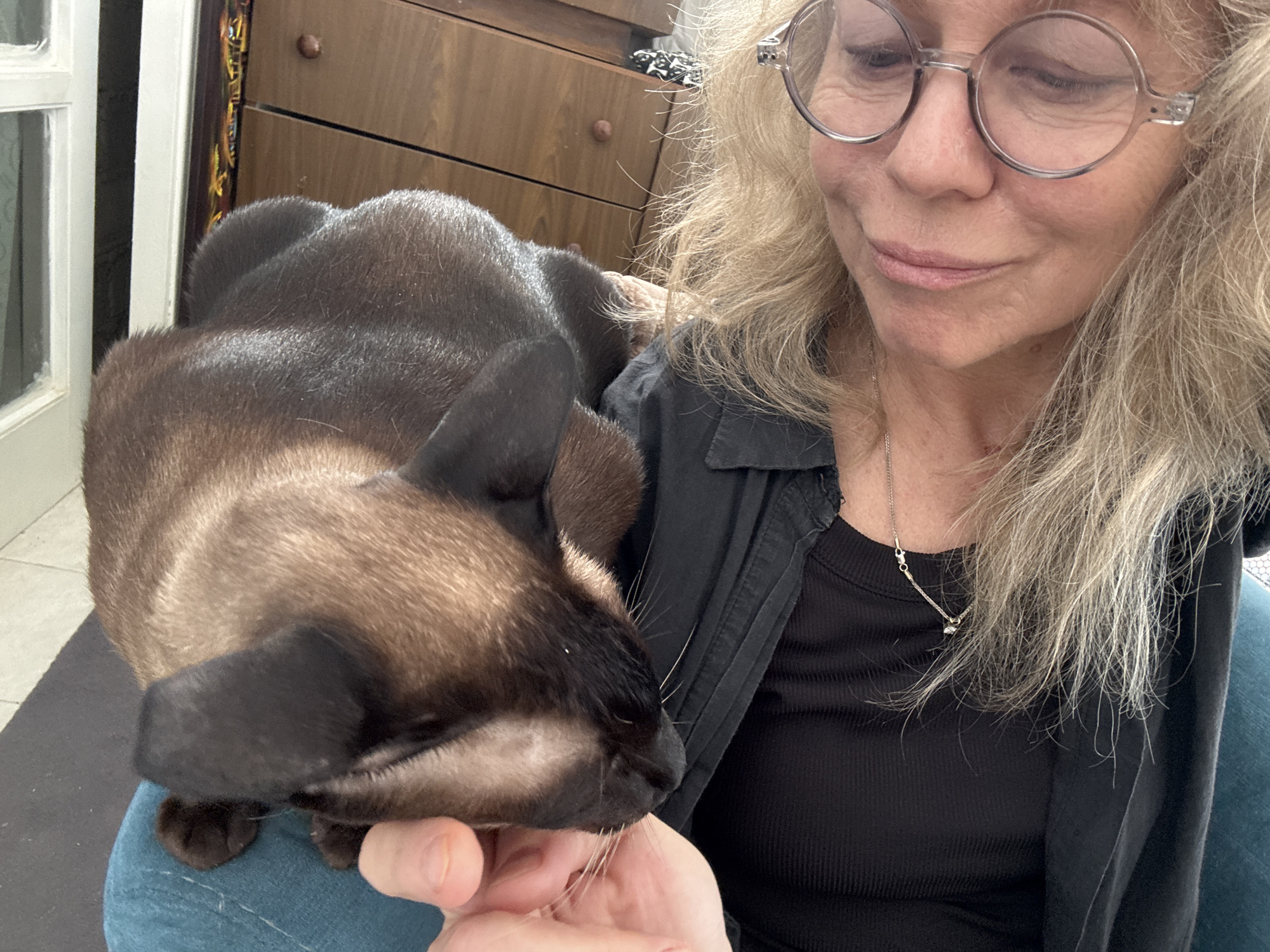 A medium shot depicts a woman with shoulder-length blonde hair and round-framed glasses, looking down at a Siamese cat cradled in her arms. The woman wears a black top and a black jacket, with a silver necklace visible at her throat. She is holding the cat's face with her left hand, and the cat appears to be resting comfortably. The cat has a dark brown head and ears with lighter brown fur on its face and body. In the background is a wooden dresser and a partially visible white door frame. The location appears to be indoors, possibly a home. There is no concrete evidence to confirm this image was taken in Ramat Gan, Israel. The image consists of a photograph of a woman and a cat.