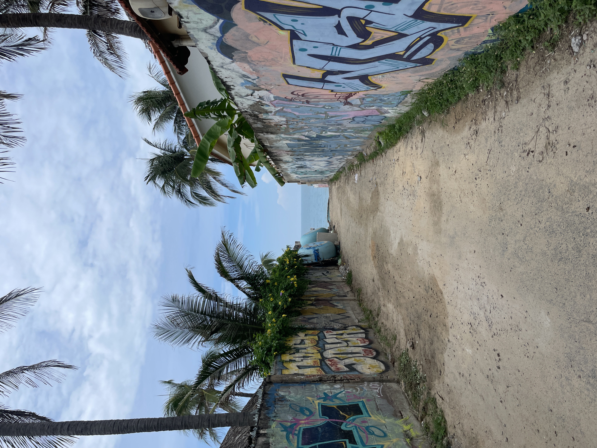 A dirt path leads through a narrow alley lined with graffiti-covered walls towards the ocean. On the left, the wall is adorned with colorful spray paint tags, and palm trees and lush green foliage overhang the top. On the right, the wall also features extensive graffiti, with a white building and banana leaves visible behind it. The path is strewn with loose gravel and dirt. In the distance, the calm blue ocean is visible under a cloudy sky with scattered white clouds. The scene suggests a tropical, urban coastal environment, likely in a developing area of Phan Thiết, Vietnam, given the presence of graffiti, palm trees, and the close proximity to the sea. No people are visible in the image.