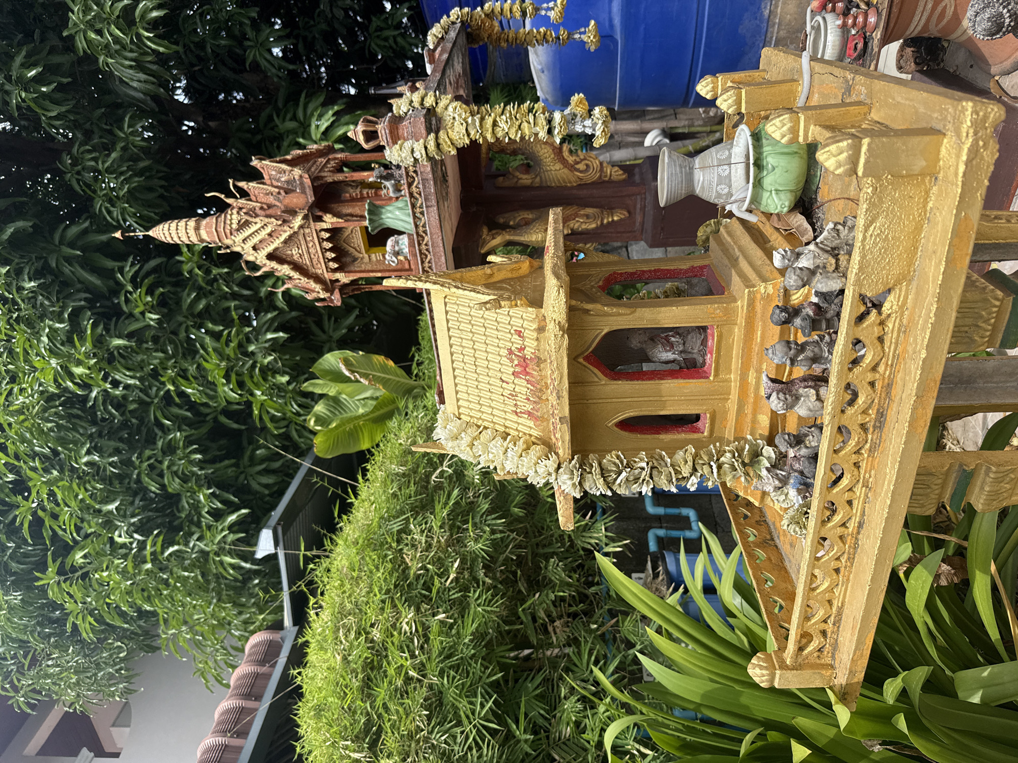 This image depicts a small, ornate golden spirit house situated outdoors in Baan Lamai, Thailand. The spirit house is intricately detailed with red trim and a tiered, pagoda-like roof. Small statues of figures are arranged along its front railing. Behind it stands a larger, dark red spirit house with similar architectural elements. To the right of the spirit houses is a large blue plastic barrel, and to the left, lush green foliage, including bamboo and larger-leafed plants, provides a natural backdrop. The ground appears to be paved, and there are some terracotta pots visible in the lower right corner. The overall impression is one of a shrine placed in a residential or temple garden setting.