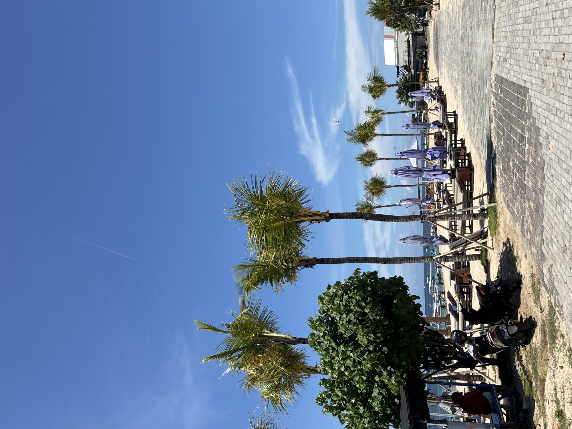 The image shows a sunny beach scene in Nusa Dua, Indonesia. The sky is a clear blue with some scattered clouds and a contrail from a jet. The foreground features palm trees and a large green bush. In the mid-ground, there is a row of beach umbrellas and lounge chairs set up on the beach, with boats visible in the distance. A paved walkway runs along the edge of the beach with parked motorcycles. A person is seated in the shade of the trees.