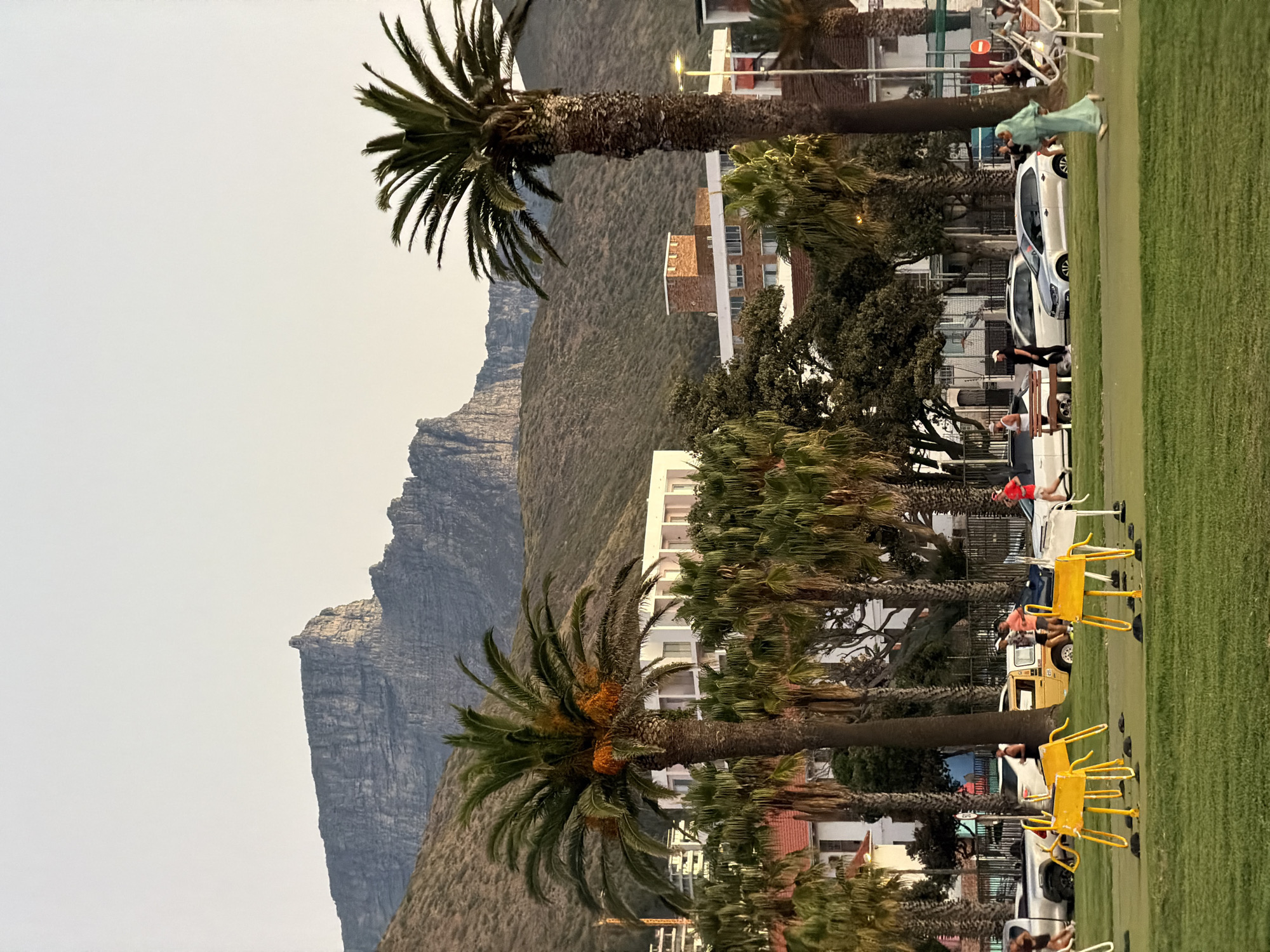 This is an outdoor scene in Cape Town, South Africa. In the background is Table Mountain. A row of palm trees lines a road with buildings. Cars are parked along the road. People are sitting on benches and engaging in walking or running. Yellow exercise equipment is placed on a grassy patch of land. The sky is overcast.
