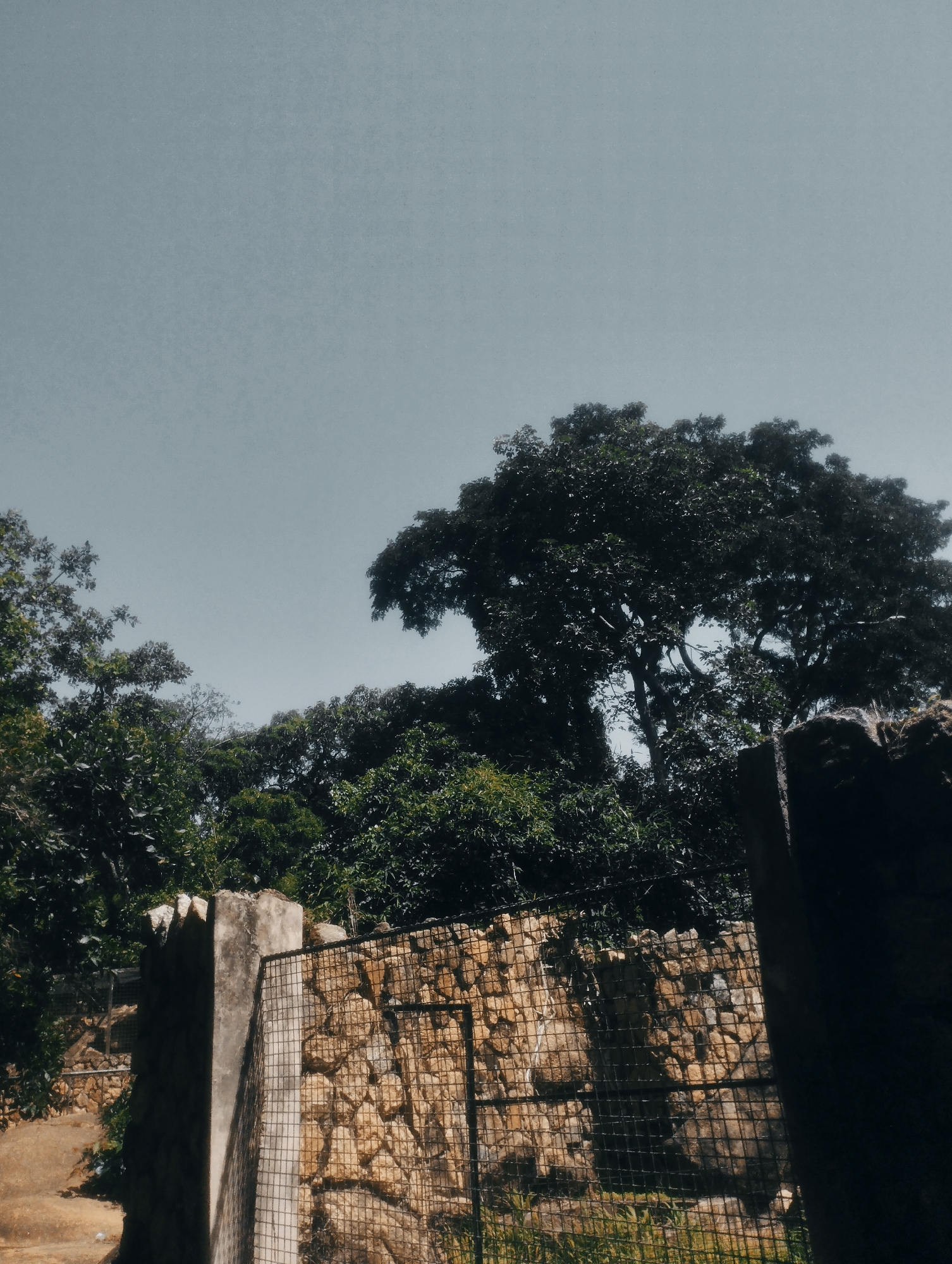 The image depicts an outdoor scene with a clear sky overhead. In the foreground, a rough-hewn stone wall is visible, partially obscured by a metal mesh fence. To the left of the stone wall, a concrete pillar with a jagged top stands prominently, casting a shadow. Beyond the wall and fence, dense green foliage of trees and bushes dominates the middle ground, with the canopy of a large tree extending into the upper right quadrant of the image. The overall impression is one of a natural environment, possibly within a park or a less developed area. There are no people or discernible actions taking place in the image. The scene is static and appears to be a still photograph. Given the information provided about the location, this scene could be found in a park or natural area within the city of Jos, Nigeria, characterized by its abundant vegetation and potentially rustic architecture.