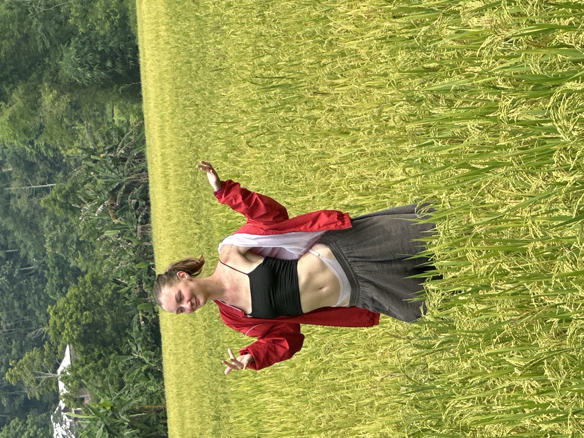 A young woman stands smiling in a vibrant, lush rice field, illuminated by bright daylight. She has light skin and dark hair tied back in a ponytail. She is wearing a black spaghetti strap top, an unbuttoned red jacket, and a loose grey skirt, with white underwear visible above the waistband. Her arms are slightly outstretched, and her hands are open in a relaxed, expressive pose.
The field of rice plants, which appear mature and yellowish-green, fills the foreground and midground. In the far background, a dense forest or jungle, featuring various tropical trees including banana plants, stretches across the horizon. A small, partially visible structure with a white roof is nestled among the distant trees.
The scene conveys a peaceful moment in a rural, agricultural landscape, typical of Ngọc Đường Commune, Vietnam. The clear, strong lighting suggests sunny weather, likely midday or early afternoon. No text is visible in the image.