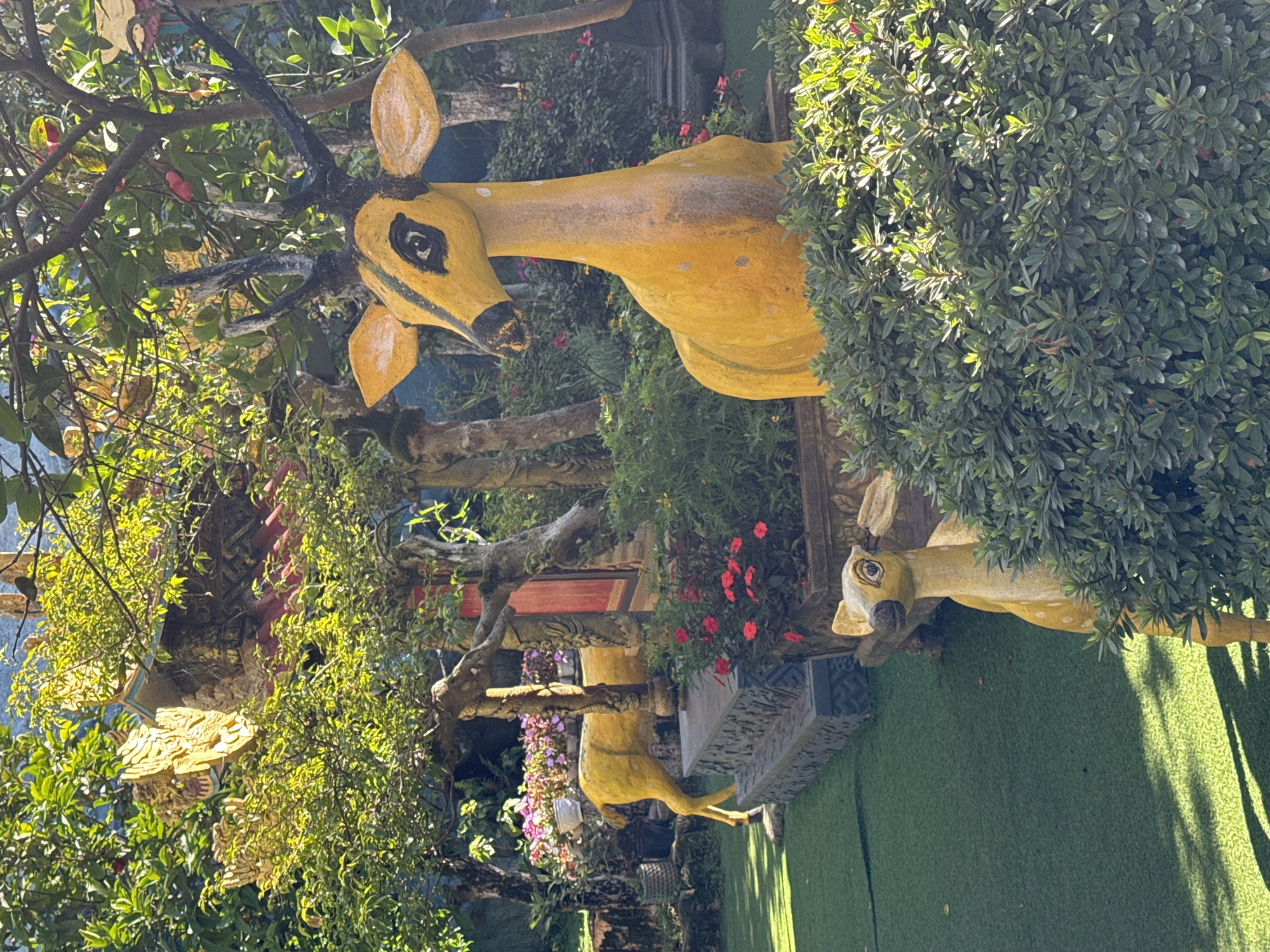 The image depicts an outdoor garden scene with two decorative statues of deer. The larger deer statue, predominantly yellow, stands in the foreground, facing left with its head turned towards the viewer. It has black antlers and distinctive black markings around its eyes and nose. The smaller deer statue, also yellow, is positioned to the left of the larger one, partially obscured by foliage, and appears to be looking to the left.
The environment is lush and green, with artificial turf covering the ground in the foreground. Various plants and trees with vibrant green foliage are present throughout the scene. In the background, there are hints of architectural elements, possibly from a temple or ornate building, with golden decorative features and red roofing visible through the trees. Pink and red flowers are scattered amongst the greenery, adding touches of color. The scene is illuminated by sunlight, casting shadows and highlighting the textures of the statues and plants. The location is identified as Xuân Thành, Vietnam.
