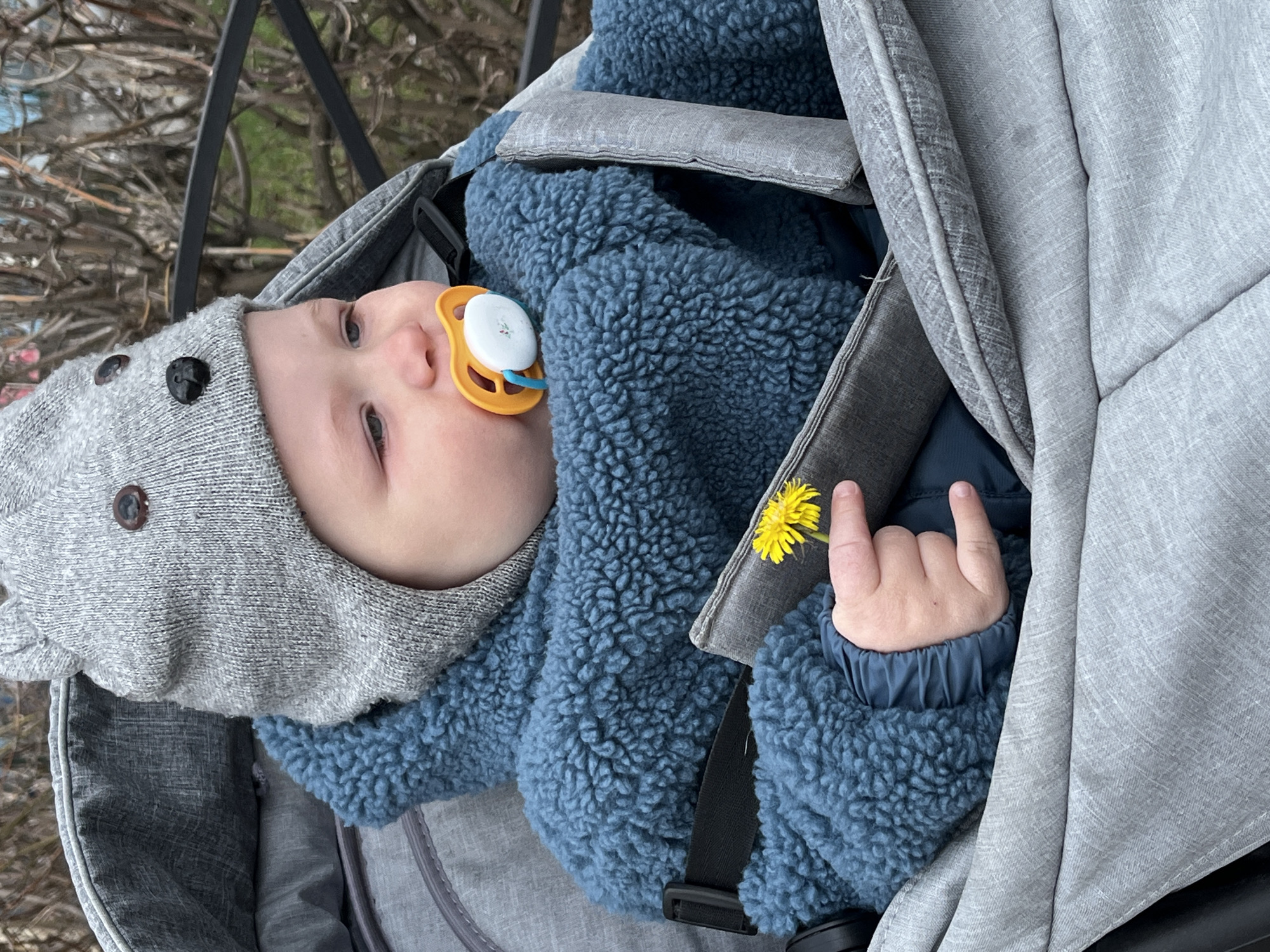 An infant is depicted lying horizontally in a light grey stroller, seen from a slightly elevated angle. The baby wears a grey knitted hat adorned with dark buttons, resembling ears or eyes, and a warm, blue fuzzy jacket. A yellow and white pacifier is in the baby's mouth, with its eyes looking upward with a neutral expression. The baby's right hand gently holds a small, bright yellow dandelion flower. The stroller has visible fabric textures and safety straps. The background, blurred, consists of bare tree branches and hints of green foliage, indicating an outdoor, natural setting. The lighting suggests it is daytime, and the baby's warm clothing implies a cooler season, such as spring or autumn. The scene conveys a calm and peaceful moment. No text is visible in the image. The location context provided for this scene is Chaikovsky, Russia.