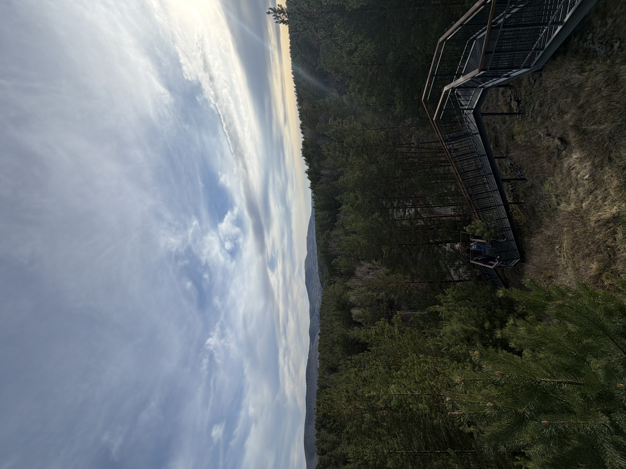A landscape photograph captures a scene from the Stolby National Park in Krasnoyarsk, Russia. The sky, dominated by striated clouds, fills the left side of the image, juxtaposed against a dense pine forest that occupies the right. A metal staircase descends through the trees. The environment is natural, with variations in the vegetation and a clear distinction between the sky and the landscape.