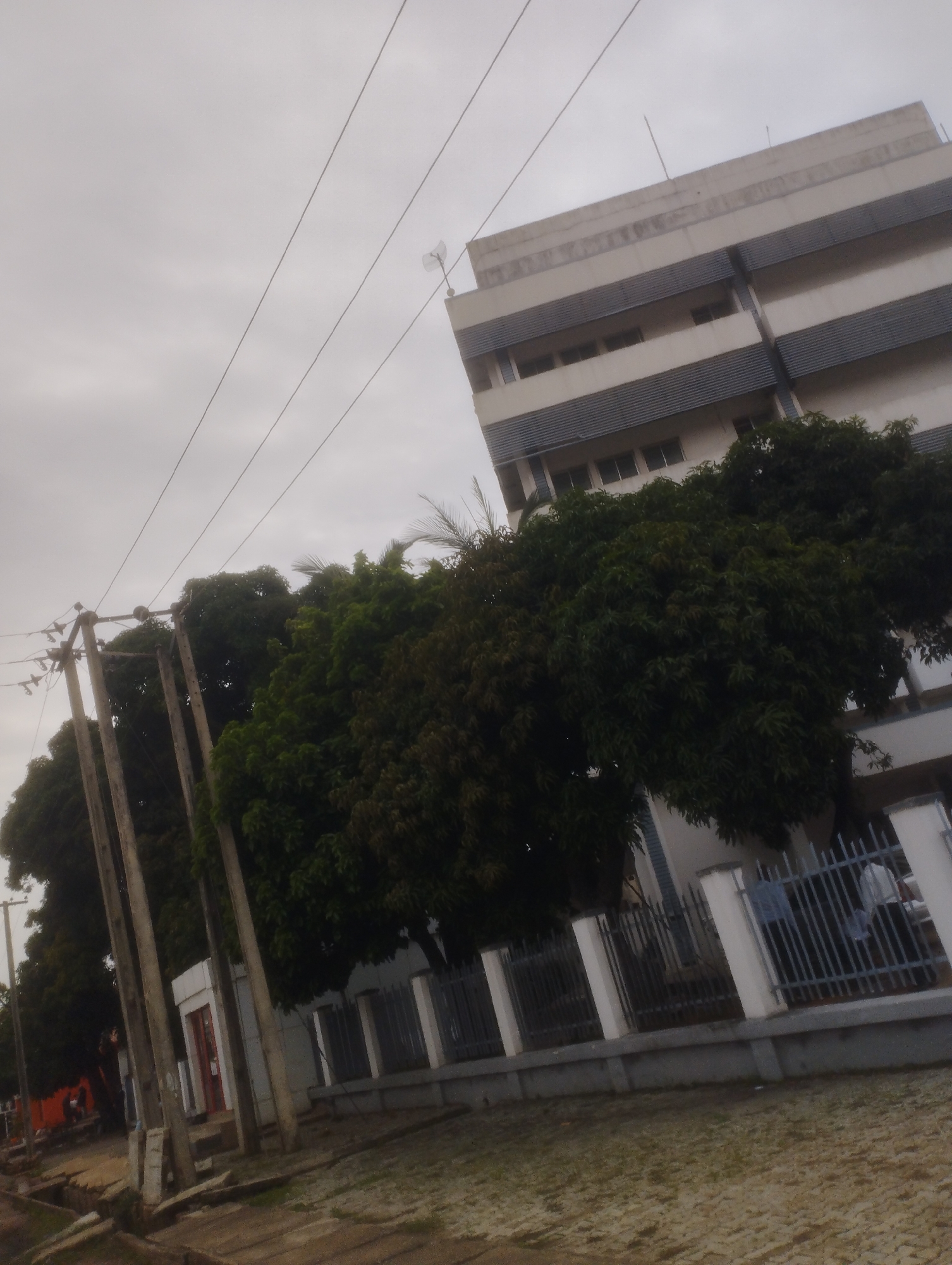The image depicts an outdoor scene in Jos, Nigeria, on an overcast day. In the background, a multi-story building with horizontal white and dark blue/grey bands is visible. The building has multiple windows. In the foreground, several tall utility poles with electrical wires run across the frame. Lush green trees with dense foliage are situated between the utility poles and the building, partially obscuring it. A metal fence with white posts and grey bars runs along the front of the building. A paved walkway or road is visible in the lower portion of the image, with some grass and debris. A small, red-doored structure is also visible to the left of the utility poles. Two individuals, one in a white shirt and another in darker clothing, are partially visible behind the fence.