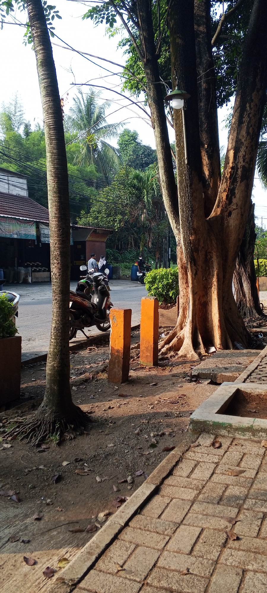 In Depok, Indonesia, on a paved street lined with large trees, a motorcycle is parked on the side of the road. The motorcycle, a dark color with orange and black accents, has its kickstand down. In the background, two people stand near a small building or stall, and another person is on a motorcycle in the distance. A lamppost hangs from a tree branch. The ground is covered with dirt, fallen leaves, and exposed tree roots. A section of a brick pathway is visible in the foreground. The scene appears to be in a moderately built-up area with residential or commercial structures and lush vegetation. The lighting suggests it is either early morning or late afternoon.