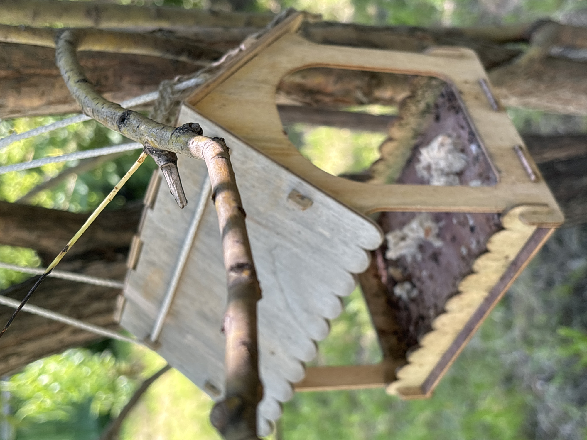 A wooden bird feeder hangs from a tree branch. The feeder is a light-colored wood with a pitched roof and an open bottom tray. The tray contains birdseed and some debris. The feeder is suspended by white ropes from the branch. A twig extends from the branch, partially obscuring the feeder. The background is blurred green foliage and tree trunks, suggesting an outdoor setting. The image does not provide information about its location in Kazan, Russia.