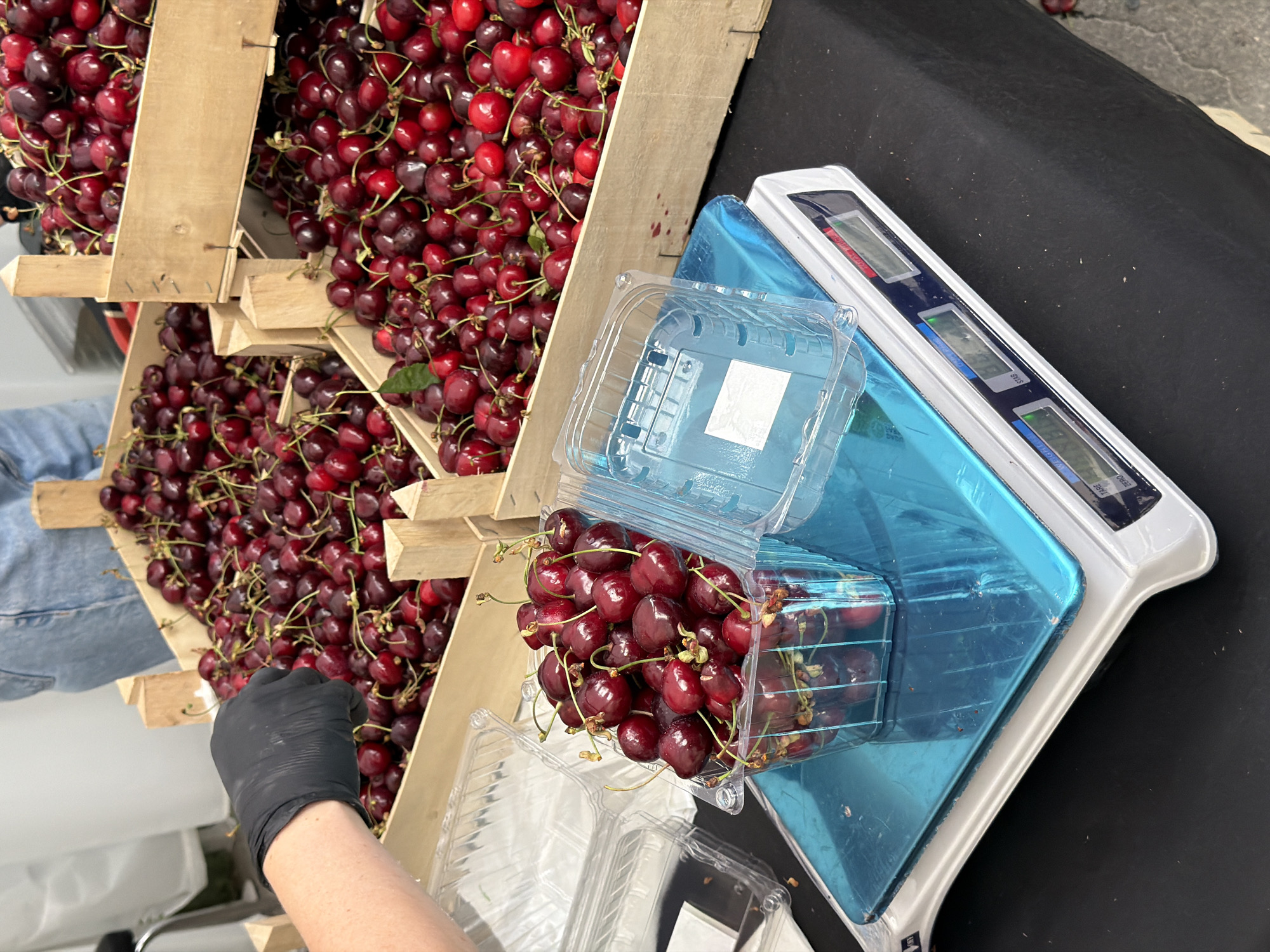 The image depicts a market stall, likely in Chișinău, Moldova, where fresh cherries are being sold. The foreground shows a digital scale with a shiny blue platform. On the scale sits a clear plastic container filled with dark red cherries, each with a stem. Next to it, an empty plastic container with a lid lies open. In the background, wooden crates overflow with more cherries, suggesting a large quantity available. A person wearing a black glove is visible on the left, reaching into one of the crates, presumably to select or bag cherries. Another person, wearing denim jeans, stands in the background, also near the cherry crates. The overall impression is one of a fresh produce market with a focus on cherries.