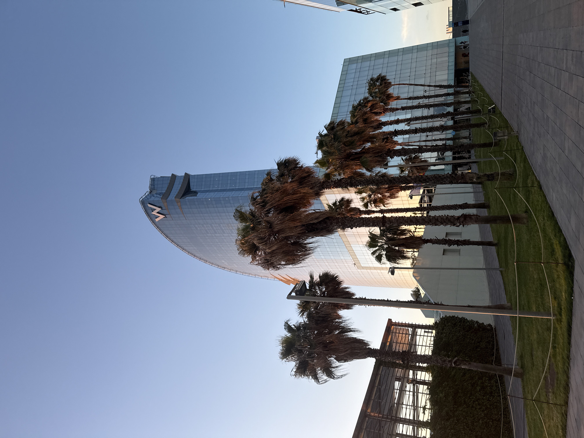 The image shows a view in Barcelona, Spain, featuring the W Barcelona hotel, also known as Hotel Vela ("Sail Hotel") due to its distinctive sail-like shape. The hotel is a tall, curved glass structure with a large "W" logo near the top. Beside it is another modern glass building with many palm trees planted in a row between the building and a paved walkway. The sky is clear and blue. The overall scene is urban, capturing the city's modern architecture and palm-lined promenade.