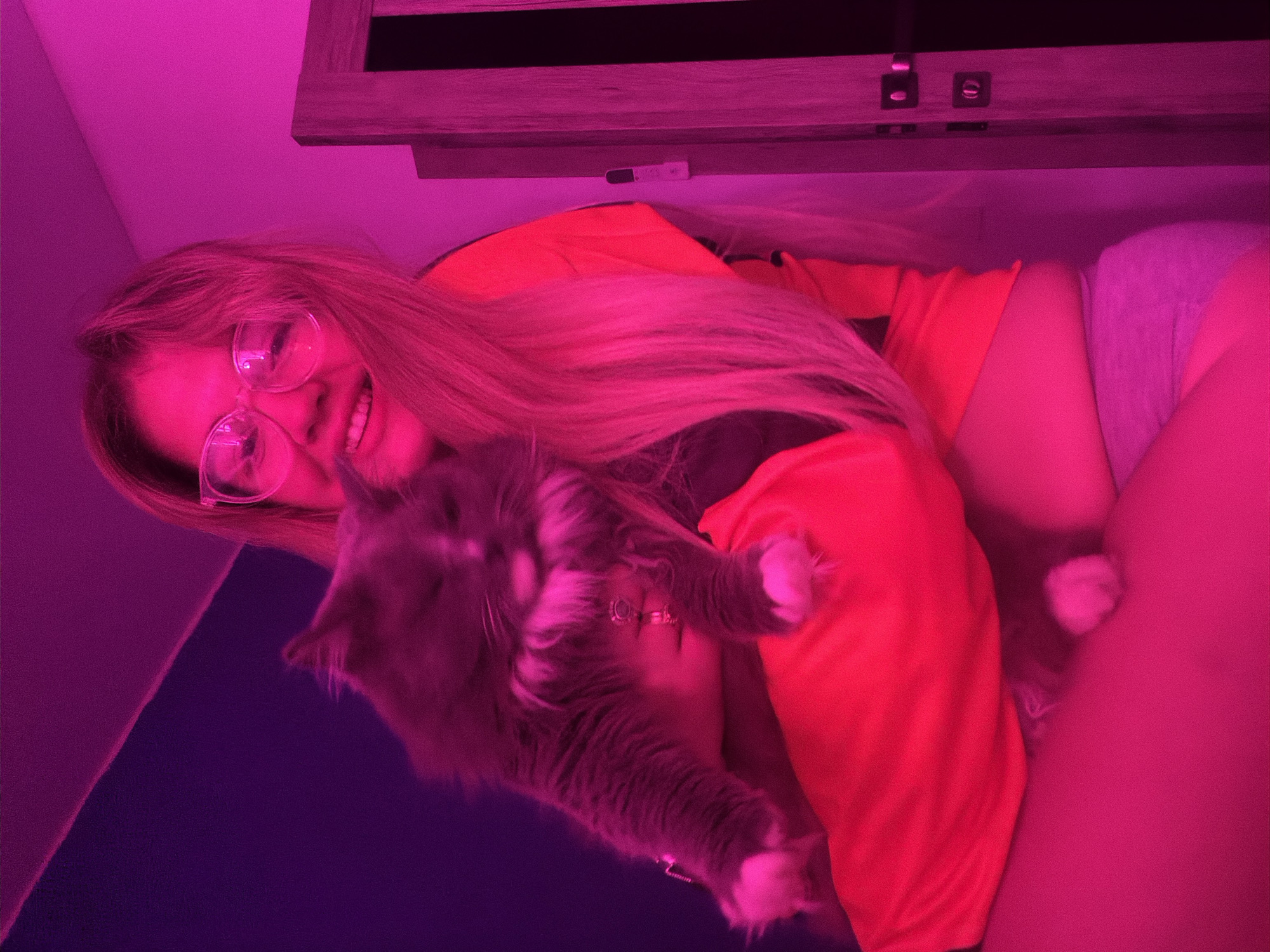 A person with long blonde hair and glasses is holding a gray cat with white paws. The person is wearing an orange shirt and gray shorts. The scene is lit with a pinkish-purple light. A dark wooden surface with mounted hardware is in the background. The location appears to be indoors, possibly a bedroom.