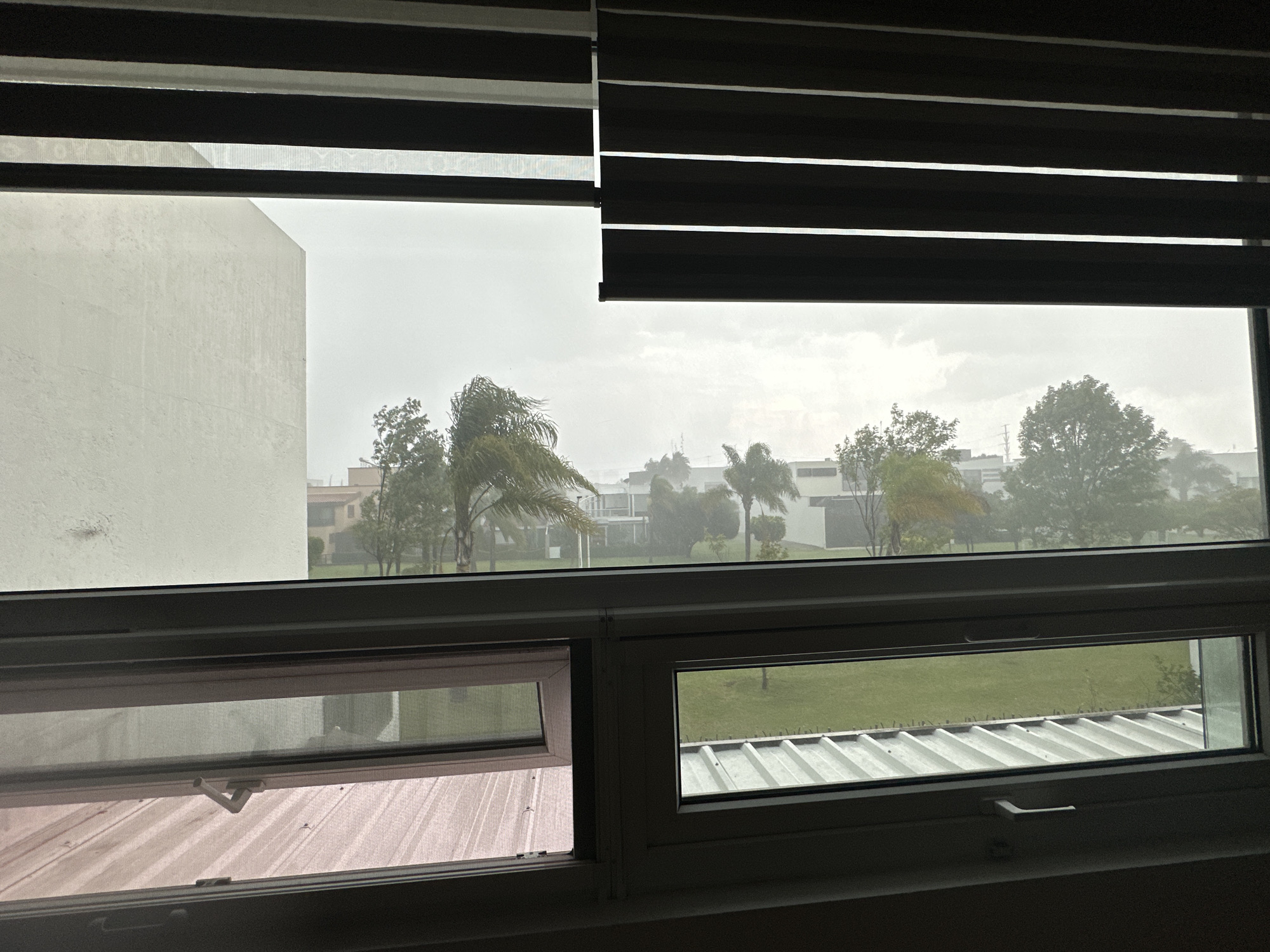 The image captures a view through a window in San Bernardino Tlaxcalancingo, Mexico, during overcast and possibly stormy weather. The foreground shows the interior of a room with blinds partially obscuring the view. The window itself is a double-paned unit, with the lower section featuring two casement windows. The left casement window is slightly ajar, revealing a pink corrugated metal roof below. The right casement window is closed, showing a green lawn and more of the corrugated metal roof.
The outdoor scene beyond the window reveals a residential or institutional area. To the left, a large, modern white building is visible, its facade appearing somewhat textured. Beyond this building, a row of trees with sparse foliage and some palm trees are seen, some appearing to sway in the wind. Further in the background, other buildings and trees are scattered across the landscape, with a power line visible in the distance. The sky is a uniform grey, suggesting cloud cover or precipitation. The overall impression is one of a somber, muted day. There are no people visible in the image.