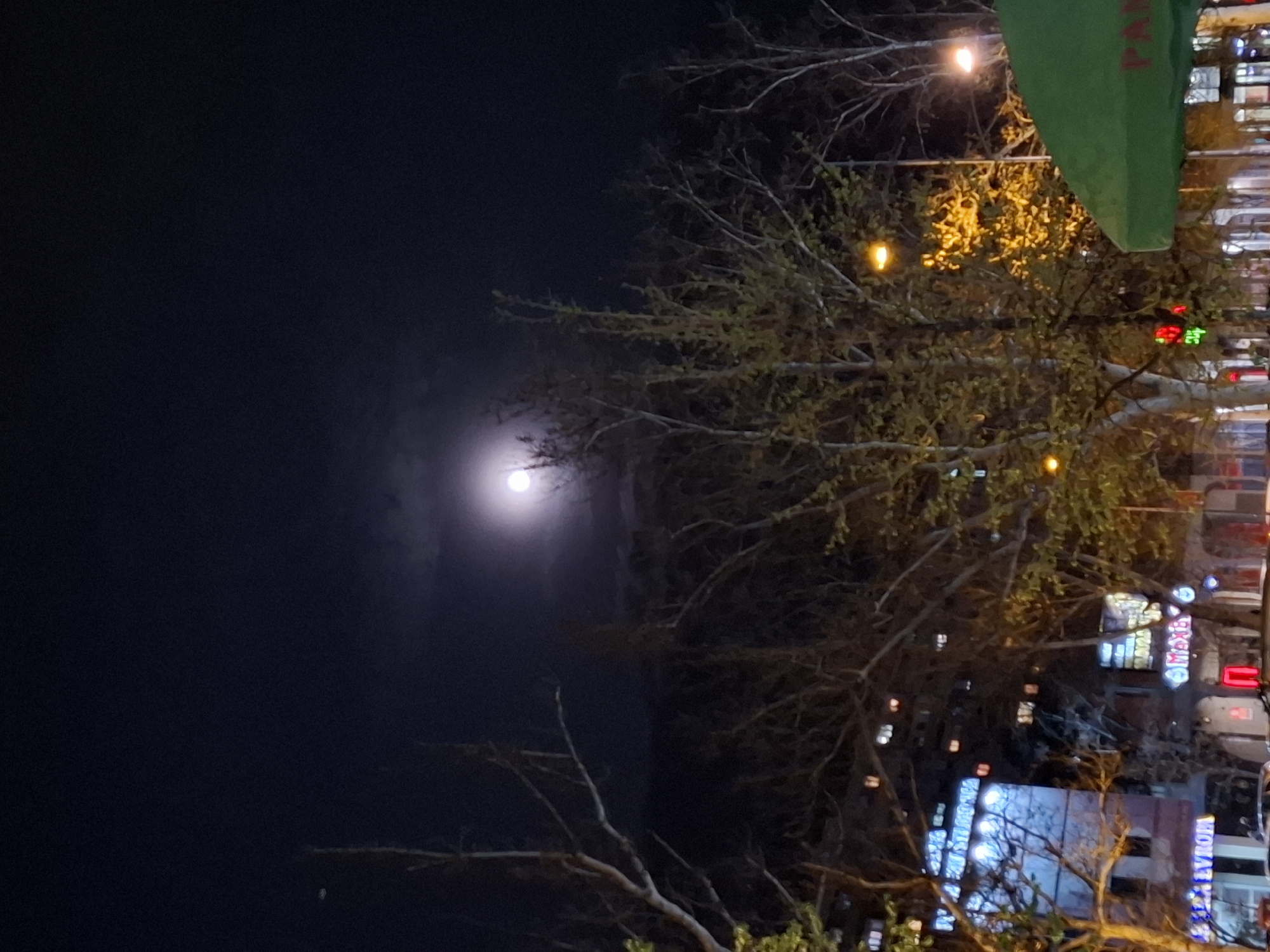The image captures a nighttime scene in Novi Sad, Serbia, featuring a view of the night sky with a full moon positioned prominently in the upper-left portion of the frame. A silhouetted tree with sparse foliage occupies the center and right portions of the image. The lower-right reveals illuminated urban architecture, including buildings with neon signs, suggesting a commercial or entertainment district. A green awning is visible in the upper-right corner. Street lights are scattered throughout the scene.