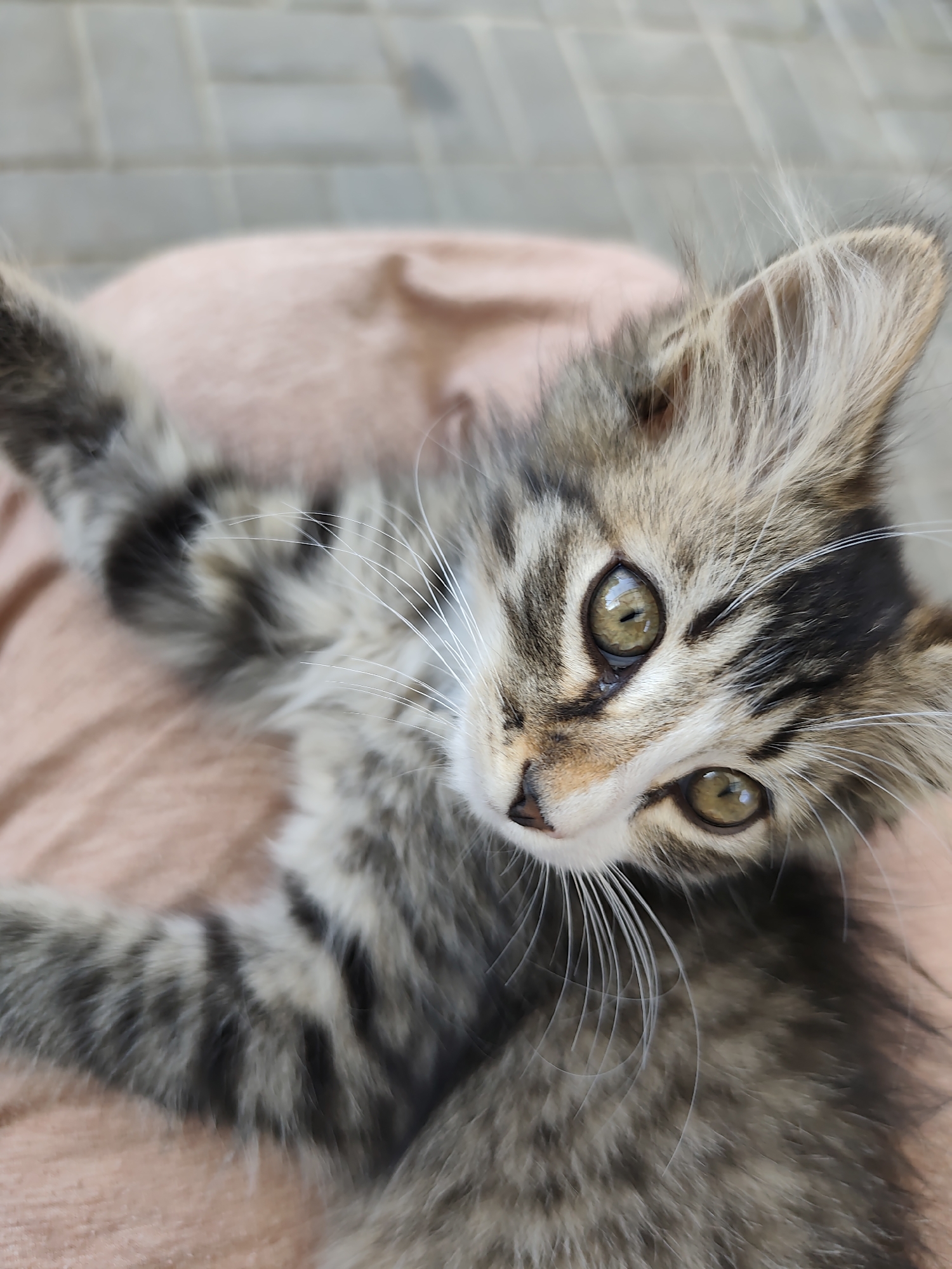 A close-up, high-angle shot captures a fluffy, tabby kitten lying on a pink fabric surface, possibly clothing. The kitten's body is oriented diagonally from the upper left to the lower right of the frame, with its head tilted towards the viewer. Its eyes are a striking amber color with dark pupils, reflecting light. The kitten's fur is a mix of gray, black, and brown tabby markings, with long white whiskers fanning out from its muzzle. The background consists of a light pink textured fabric and a blurred grey tiled surface, suggesting an outdoor setting, potentially a patio or sidewalk area. The image was taken in Durlești, Moldova.