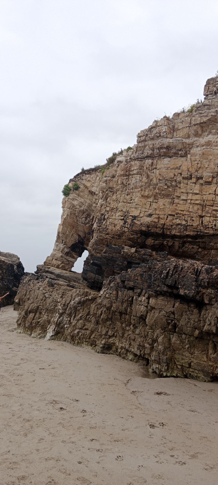 A vertical, eye-level shot captures a rocky coastline with a natural archway carved into a cliff. The cliff face is composed of layered rock in varying shades of tan, brown, and black, with a thin strip of green vegetation clinging to the top left. The archway, a distinct opening in the rock, reveals a patch of sky. Below the cliff, a sandy beach stretches out, dotted with numerous animal paw prints. The sky above is overcast and hazy. In the far left of the image, a portion of a person's arm and shoulder is visible, suggesting their presence on the beach. The scene is likely located in A Rochela, Spain, known for its dramatic coastal rock formations.