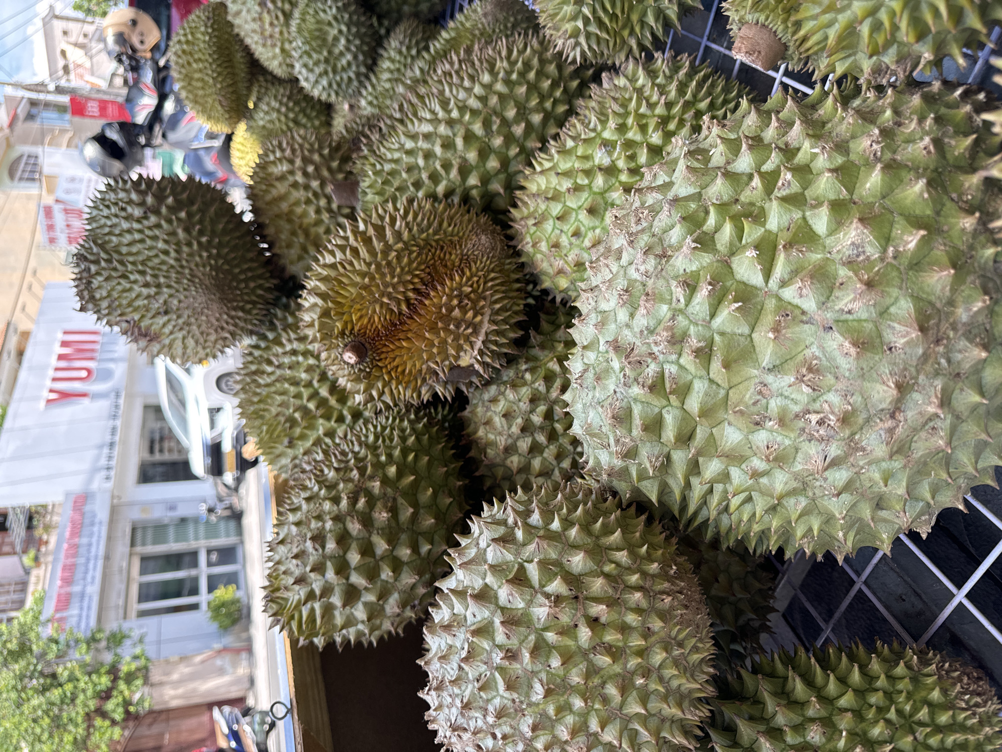 In Phan Thiết, Vietnam, a street-level view captures a vibrant display of durian fruit. The foreground is dominated by a dense arrangement of these spiky, green fruits, some with a slightly brown, oxidized rind. They are presented in a wooden crate, resting on a black grid structure. In the background, a white building with a prominent "YUMI" logo is visible, alongside other shopfronts and a white vehicle. The scene suggests an outdoor market or roadside stall, bustling with commercial activity and typical urban elements of a Vietnamese city.