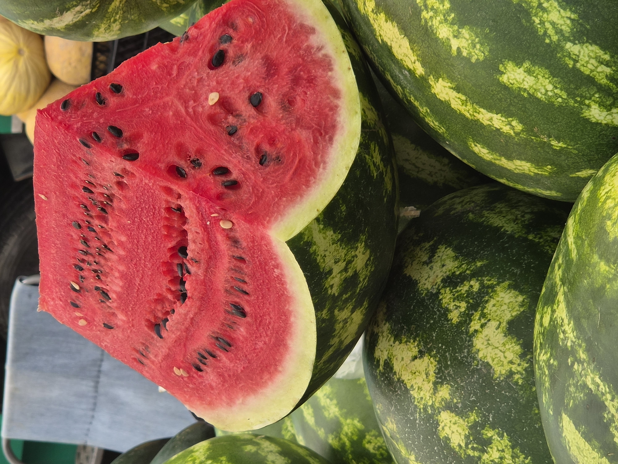 A close-up shot displays a cut watermelon, revealing its vibrant red flesh speckled with black seeds, resting on top of a pile of whole watermelons at a market stall. The watermelons have dark green rinds with irregular yellow-green patterns. In the background, other fruits, likely melons, are visible, along with a blue fabric drape and a dark tire. The scene appears to be an outdoor market, possibly in Maltepe, Turkey, given the context. No people are visible in the frame.