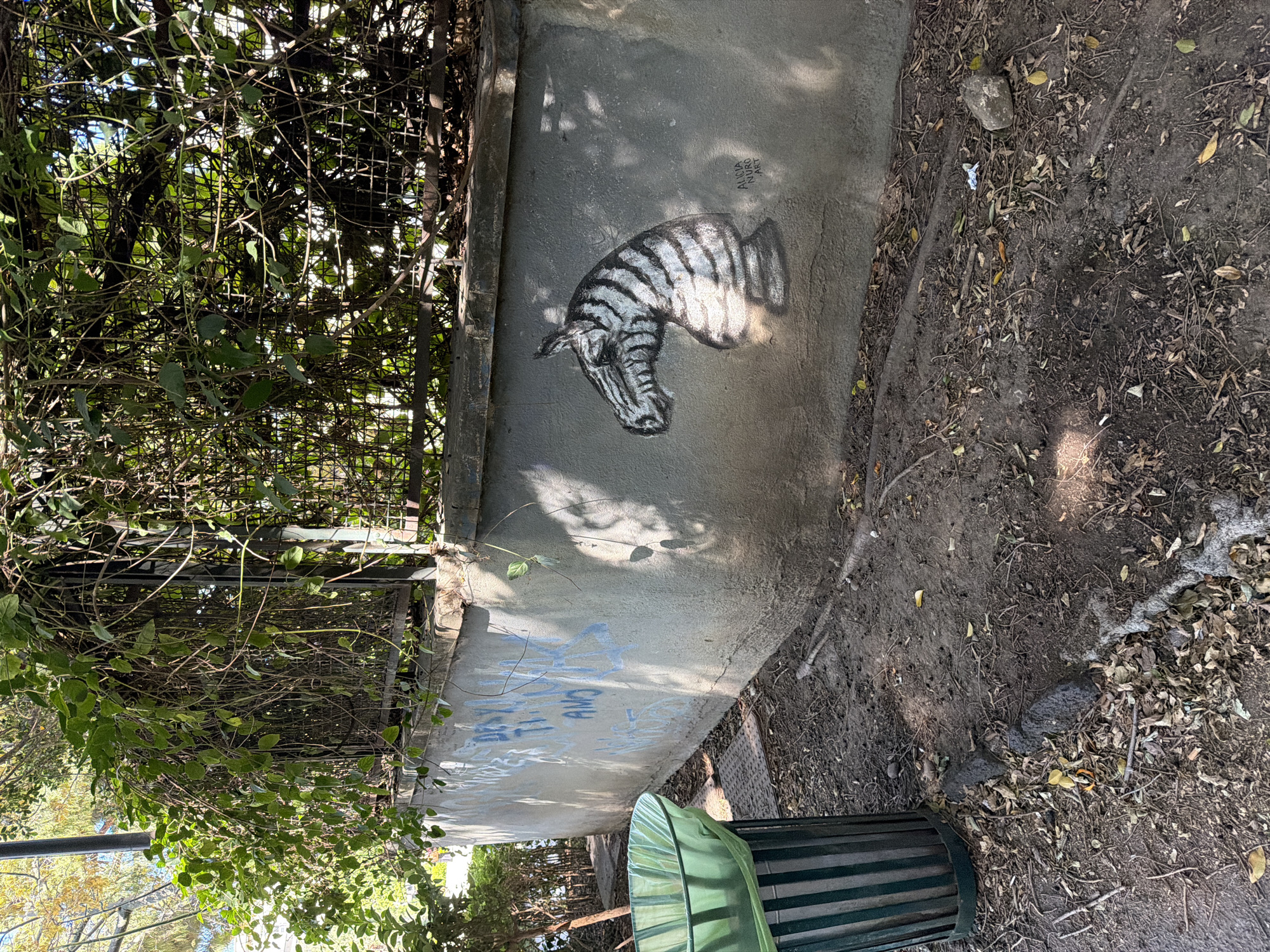 The image depicts a grey concrete wall in an outdoor setting in Catania, Italy, bearing a stylized graffiti depiction of a zebra head and shoulder. The wall is positioned adjacent to a dense, overgrown section of vegetation contained by a metal fence. Additional graffiti is visible on the lower portion of the wall. The ground nearby is covered in dry leaves and dirt. A green trash can stands near the base of the wall. No people are visible in the image.