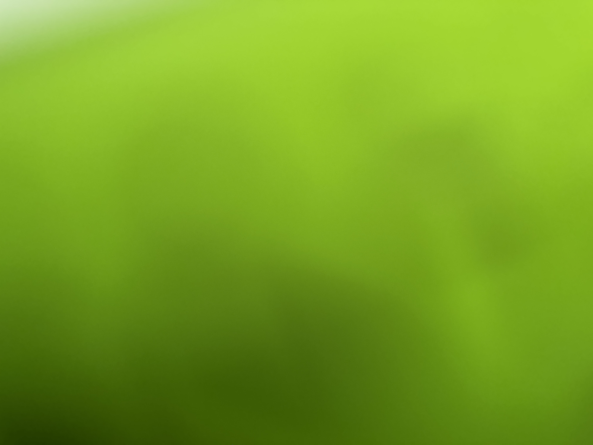 This is a blurred image of a green background with subtle gradients. There are no discernible subjects, objects, or activities taking place. The lighting appears soft and diffused, suggesting an indoor setting or an overcast day, but there are no specific cues to determine the time of day or weather. The image is abstract and lacks any concrete location indicators. No text is visible.