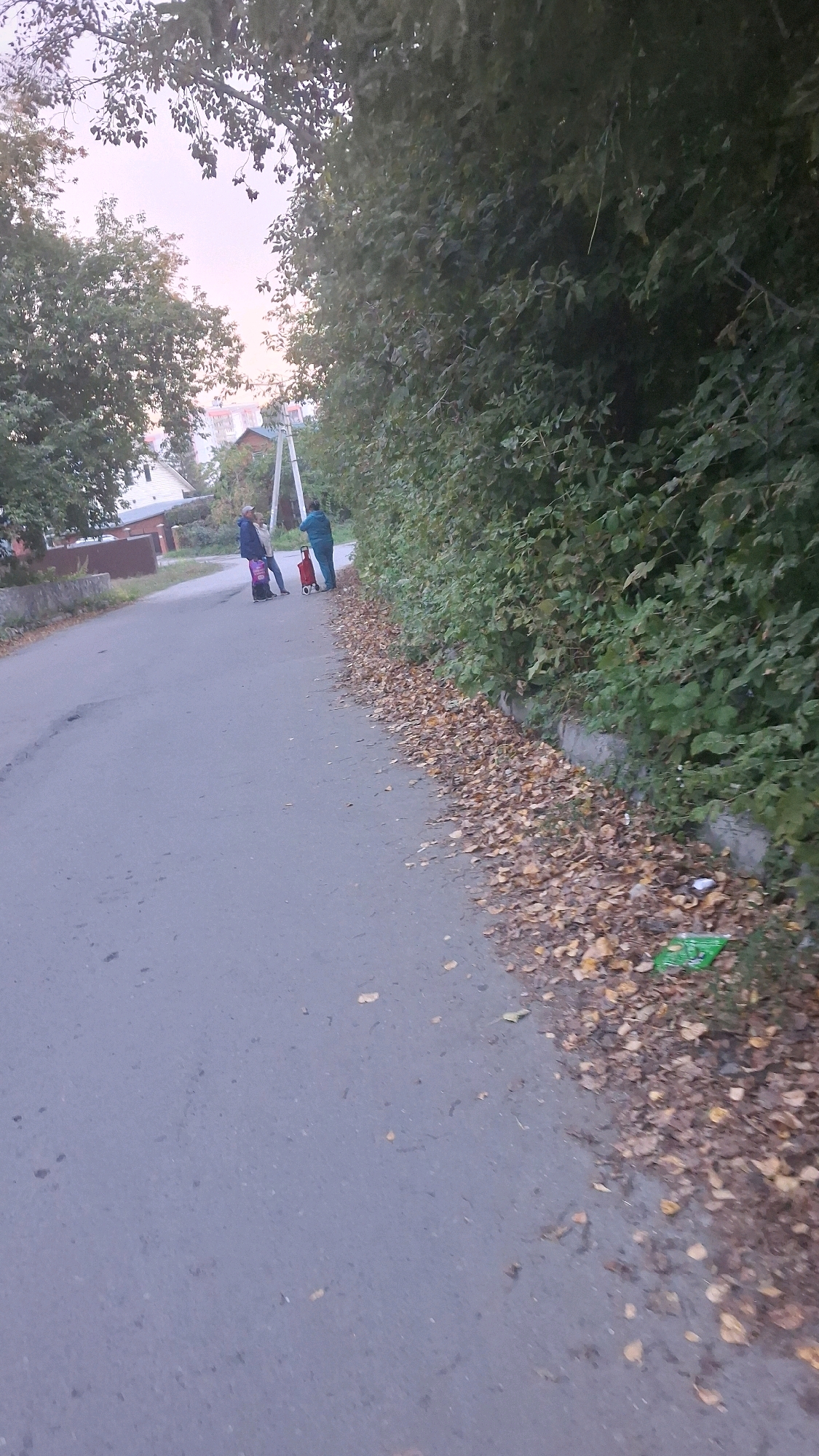 Three individuals are standing on a paved road in what appears to be a residential area. One person, wearing a blue jacket, is holding a red wheeled shopping cart. Another person, wearing a dark jacket and a cap, is standing next to them. A third person in a dark jacket is further down the road, walking away. The road is lined with trees and dense foliage on the right side. Fallen leaves are scattered along the edge of the road. There are some houses visible in the background on the left. The sky is overcast. The scene suggests a casual outdoor gathering or movement through a suburban environment.