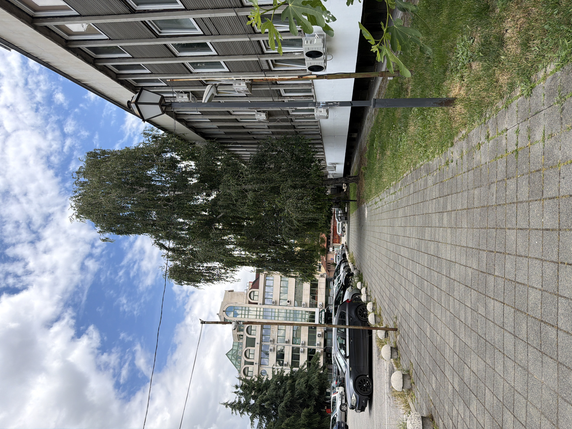 A straight-on, eye-level exterior shot depicts a parked cars on the left and a modern office building on the right, with a tree in the center. The scene is likely in Pazardzhik, Bulgaria, given that the sign on the building reads "ПЕТРАНОВ", which is a surname found in Bulgarian. The foreground features a paved walkway, with a line of rounded concrete bollards separating it from a parking lot filled with several cars. A tall, slender deciduous tree with a dense canopy of leaves stands prominently in the midground, partially obscuring the building behind it. The office building is a multi-story structure with a gray facade, featuring numerous windows and several outdoor air conditioning units. The sky above is partly cloudy, with a mix of white cumulus clouds and blue sky. A traditional lamppost stands on the walkway between the tree and the building. A variety of trees, including evergreens, are visible further in the background, along with another building with a distinctive green-capped, stepped roofline.