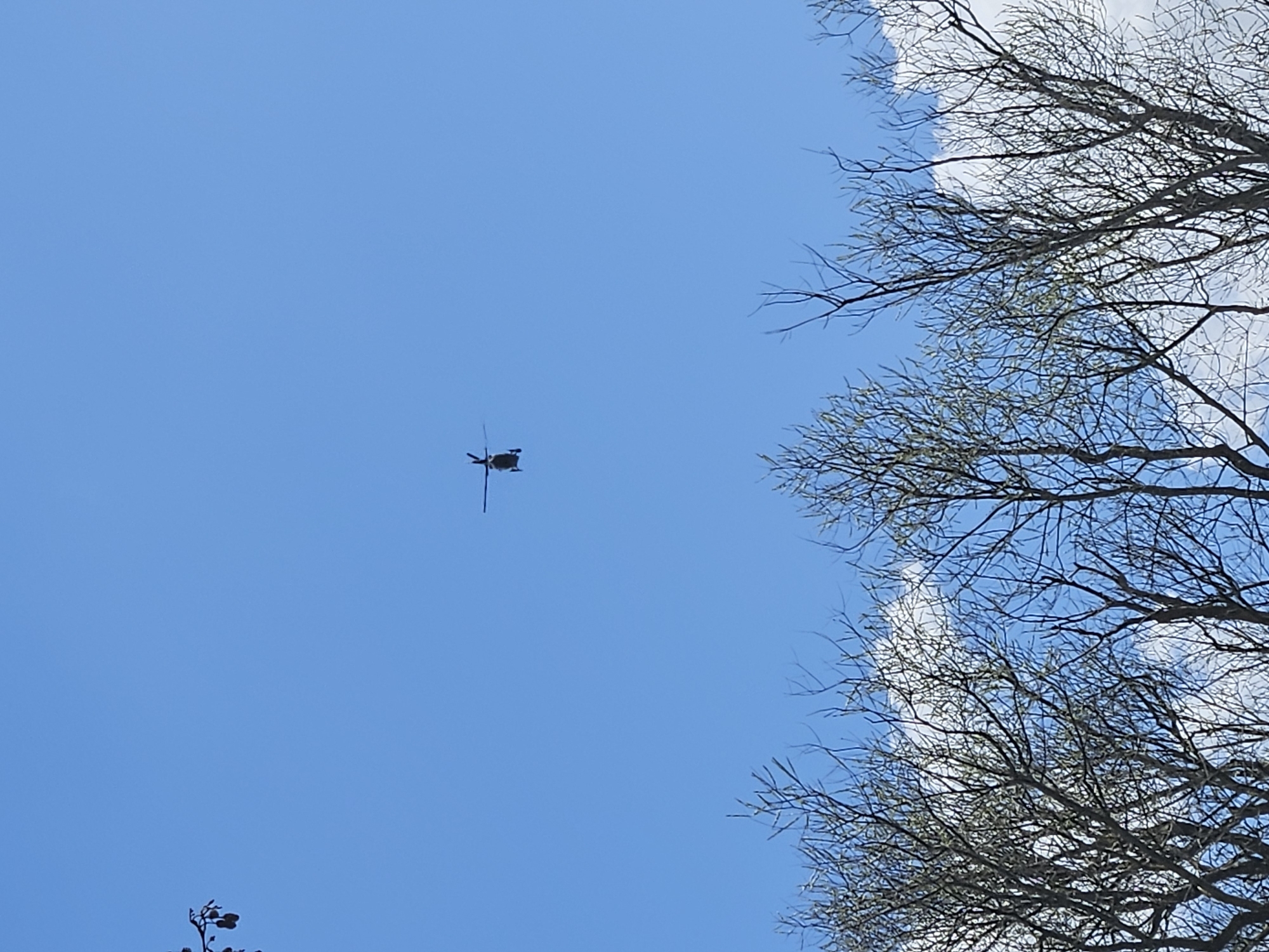 The image shows a helicopter flying in a clear blue sky with some wispy clouds. Bare tree branches are visible on the right side of the frame. The helicopter appears to be in flight over Gavisse, France. The helicopter is distant and silhouetted against the sky.
