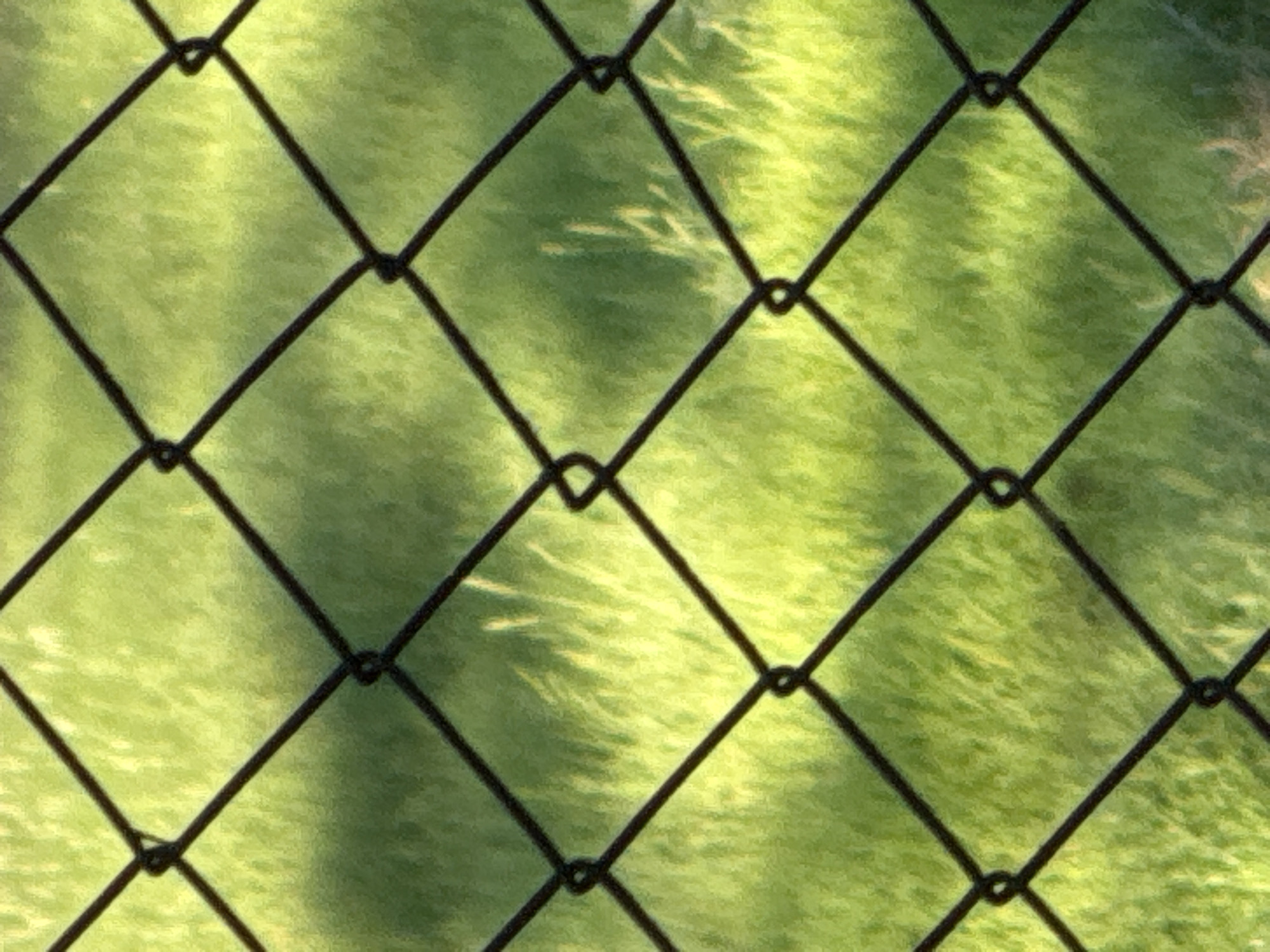 The image is a close-up, full-frame photograph of a chain-link fence against a blurred background of green grass and shadows. The fence's diamond pattern is sharply in focus, with the dark metal wires forming a geometric grid. The grass behind the fence is out of focus, creating a soft, impressionistic backdrop. Sunlight filters through the fence, casting subtle shadows on the grass, adding depth and texture to the scene. The overall impression is one of simple, natural beauty observed through a man-made barrier.