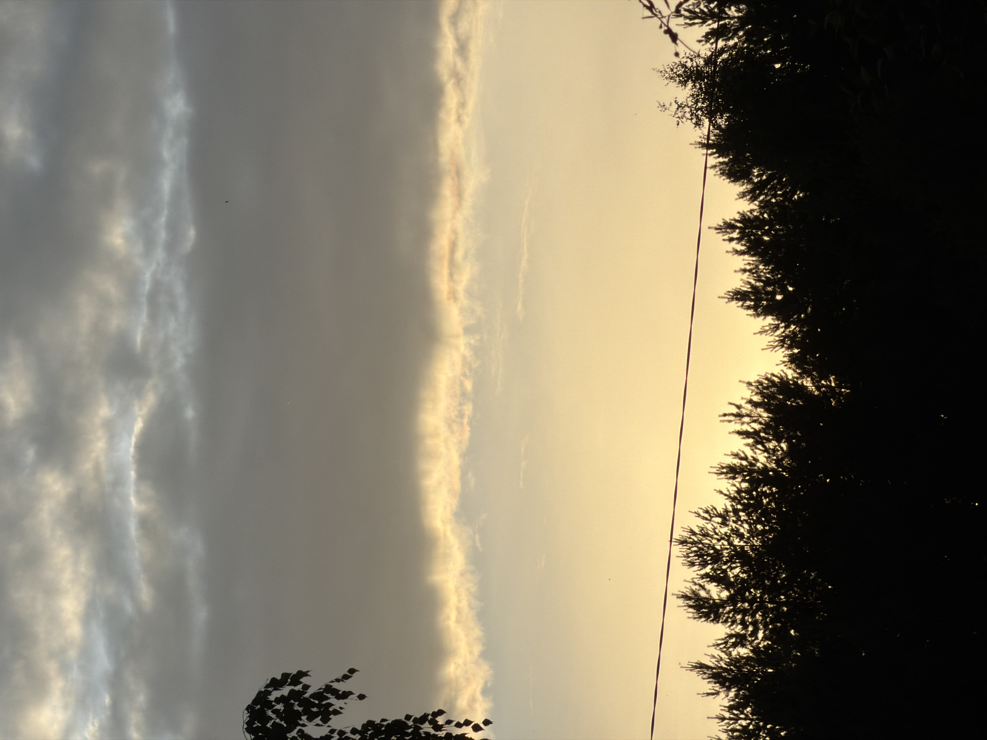 This image depicts a natural scene at dusk, likely in Chaikovsky, Russia. The sky is divided into two distinct sections by a horizontal band of clouds. The left side of the sky is dominated by darker, grayer clouds, possibly indicating approaching weather or a lingering storm. A thin, bright line of light pierces through this cloud cover, suggesting the sun is setting behind them. The right side of the sky transitions to a pale yellow, characteristic of twilight. Silhouetted against this lighter sky are the dark, feathery branches of evergreen trees on the right edge of the frame. A thin, dark line, likely a power line, runs vertically through the image on the right side, partially obscuring the trees. In the foreground, on the bottom left, a few dark leaves are visible, also silhouetted against the sky. The overall mood is serene and atmospheric, with the interplay of light and shadow creating a sense of calm as day transitions to night. There is no visible text in the image.