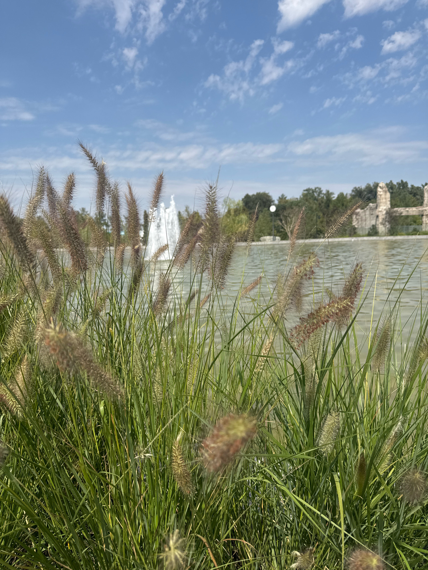 The image shows a body of water with a fountain in the background. Tall grass and reeds are in the foreground. Trees and ruins are visible on the far bank of the water. The sky is blue with scattered white clouds. This scene is likely located in Almaty, Kazakhstan, perhaps in a park or garden area.