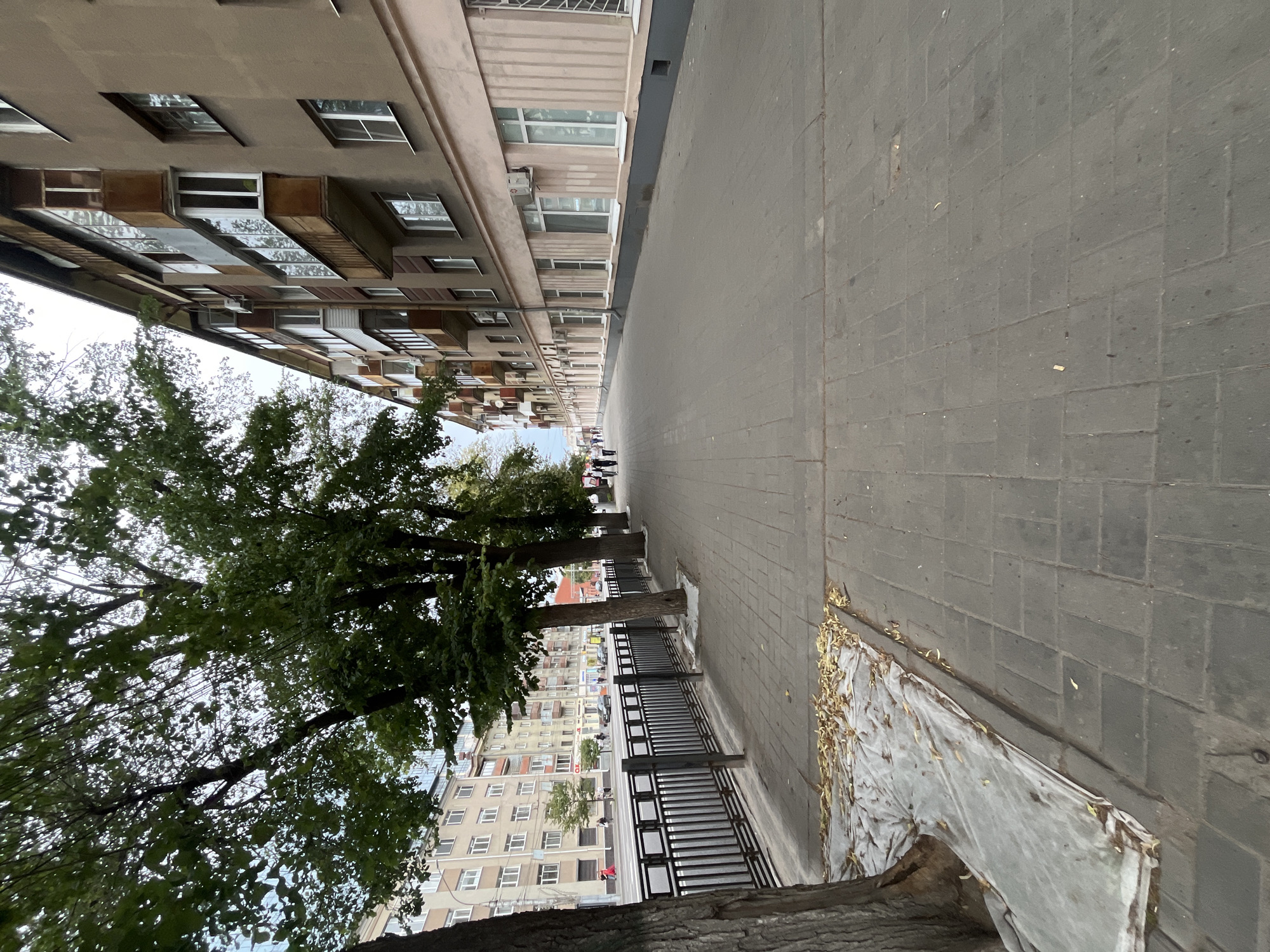 This is an eye-level, wide-angle shot taken outdoors, likely on a cloudy day given the soft, diffused light. The perspective is such that the buildings and sidewalk are vertical, with the sky appearing at the bottom of the frame.
The scene depicts a paved sidewalk, likely made of grey interlocking bricks, running alongside a multi-story apartment building. The building's facade is a muted beige and features numerous windows, some with balconies. Above the windows, there are structures that appear to be air conditioning units or ventilation systems, some of which are quite elaborate and reflective. The building continues into the distance, forming a long, unbroken line.
To the left of the sidewalk, trees with dense green foliage are prominent. Their branches and leaves partially obscure the view of another apartment building across the street, which is lighter in color and has a grid of windows. Further down the sidewalk, a few people can be seen walking. They are distant and their features are not discernible.
Along the edge of the sidewalk, separating it from the street or a lower level, is a dark metal railing with a repeating square pattern. A portion of this railing is visible in the foreground. Beneath the railing, at the very bottom of the frame, is a large tree trunk covered with a white, translucent tarp that is streaked with dirt and littered with fallen leaves, suggesting autumn.
The overall impression is one of an urban street scene, likely in a residential area. The presence of trees indicates a degree of greenery within the city. The weather appears overcast, and there are no specific cues to pinpoint the exact time of day other than it is daytime. There is no visible text in the image. The mood is neutral and observational.
