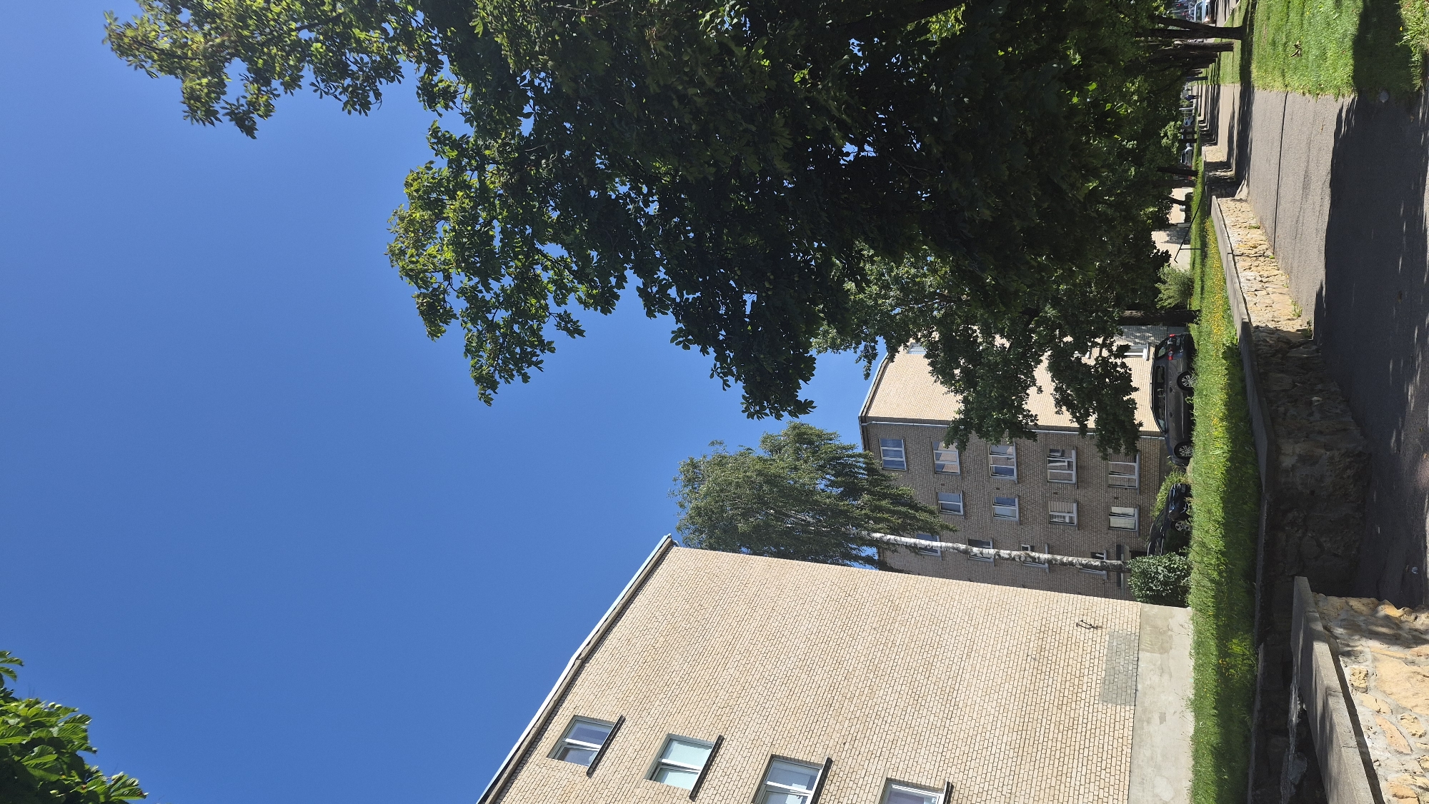 The image depicts a sunny day in Daugavpils, Latvia. In the foreground, a stone-lined pathway runs alongside a grassy area and a row of trees. Several apartment buildings, constructed with light-colored brick and featuring numerous windows, are visible in the background. Parked cars are present in front of one of the buildings. The sky is a clear, vibrant blue, and the foliage of the trees is lush and green. The scene suggests a residential area with urban infrastructure.
