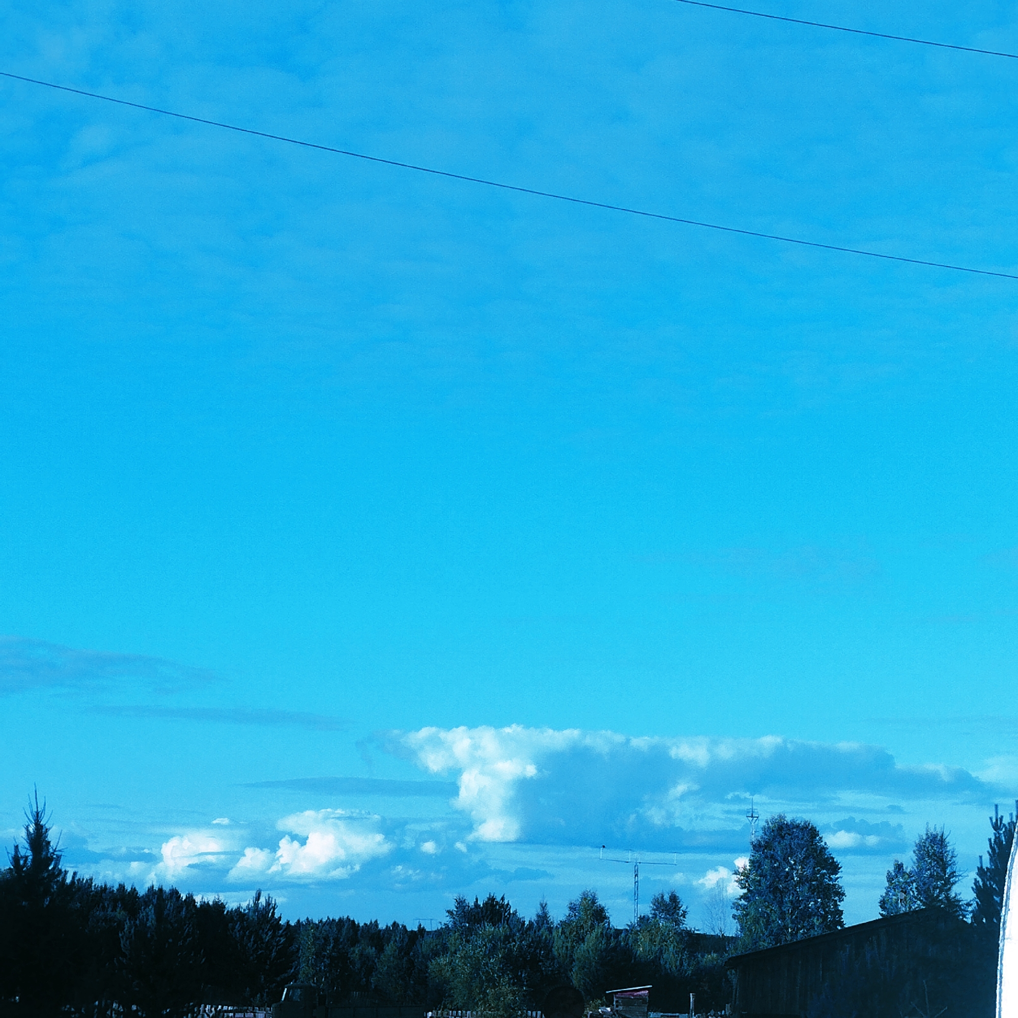 The image shows a wide, bright blue sky with thin, horizontal clouds. A single, dark, thin wire stretches across the upper part of the sky. In the lower portion of the image, there is a dark silhouette of a dense forest with tall trees, characteristic of the natural environment in Pokosnoye, Russia. Some of the trees are pointed, resembling pine or fir trees. Beneath the forest, a dark structure, possibly a building with a dark roof, is visible. There are no people or animals in the frame, and no specific actions are depicted. The overall impression is a clear, possibly overcast, sky over a rural or forested landscape.