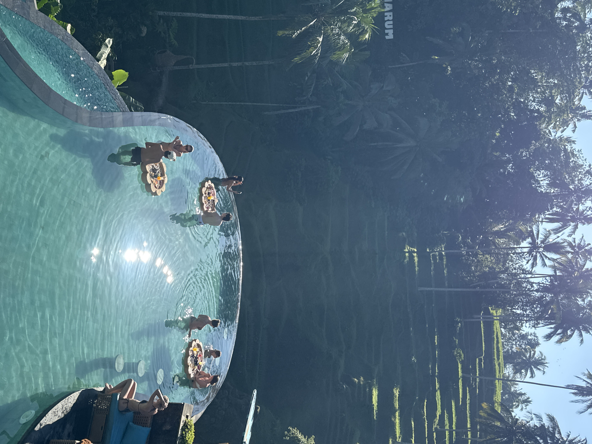 The image captures a vibrant tropical resort scene in Tegallalang, Indonesia, centered around a clear turquoise infinity pool overlooking a lush valley. Several people are enjoying the sunny day. In the foreground, a person in a bikini is relaxing on a lounge chair with blue cushions beside the pool.
Within the pool, multiple individuals are present. Two people are gathered around an elaborate floating tray, laden with an assortment of fruits, pastries, and drinks, indicative of a "floating breakfast" experience. Another similar floating tray is visible further in the pool, attended by at least one other person. Several more figures are seen wading or standing in the water, enjoying the refreshing environment. Bright sunlight reflects intensely off the pool's surface, suggesting a clear mid-morning to early afternoon.
The background reveals the stunning natural beauty of the region: dense green foliage with numerous tall palm trees stretching towards the horizon, and distinct, layered rice terraces carving patterns into the hillside. These iconic agricultural landscapes confirm the Tegallalang setting. A partial sign with the text "ARUM" is visible in the upper right background. The overall impression is one of leisure, luxury, and tranquility amidst a picturesque tropical paradise.