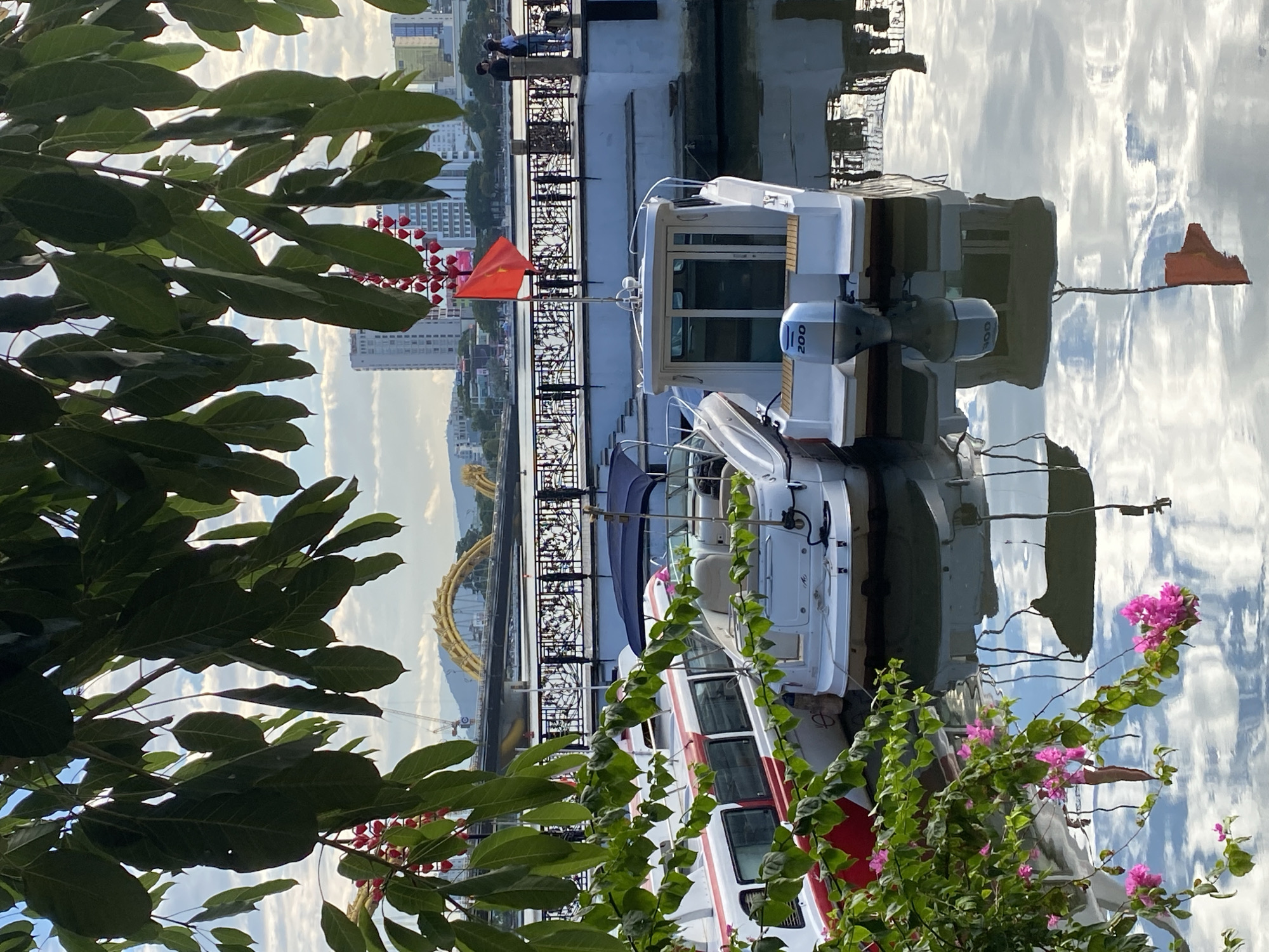 This image captures a scene along the Han River in Đà Nẵng, Vietnam. The foreground is dominated by the lush green foliage of trees and branches, with a cluster of vibrant pink flowers on the left side. In the midground, two boats are moored by a waterfront promenade. The boat on the left is white with a red stripe along its side, while the boat on the right is entirely white with a blue canopy. The latter has a silver outboard motor labeled "200".
Behind the boats, a promenade with decorative railings runs along the river. Two individuals, a man and a woman, are standing on this promenade, facing away from the camera and looking towards the river. A red flag flies from a pole on the promenade, situated near the white boat. In the background, the iconic Dragon Bridge, with its distinctive golden arch, spans the Han River. Beyond the bridge, the city skyline is visible, featuring several buildings, some of which appear to be hotels or apartments. The sky is cloudy, and the river's surface reflects the sky, buildings, and boats, creating a mirror-like effect. The overall atmosphere is serene, with a mix of natural elements and urban infrastructure.
