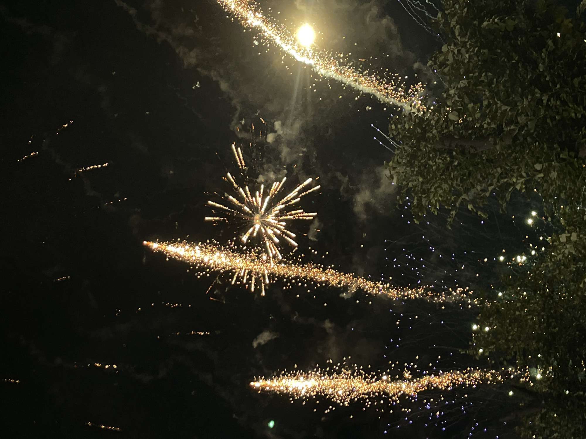 The image captures a nighttime scene in Karlovo, Bulgaria, dominated by a vibrant fireworks display. Multiple fireworks are visible in the dark sky, with streaks of golden and orange light illuminating the darkness. Some fireworks have exploded into starburst patterns, while others trail downwards as cascades of sparks. In the foreground, the dark silhouettes of trees with lush green foliage are present, their leaves dotted with small, bright lights, likely from the fireworks or ambient lighting. The overall atmosphere suggests a celebration or event taking place outdoors.