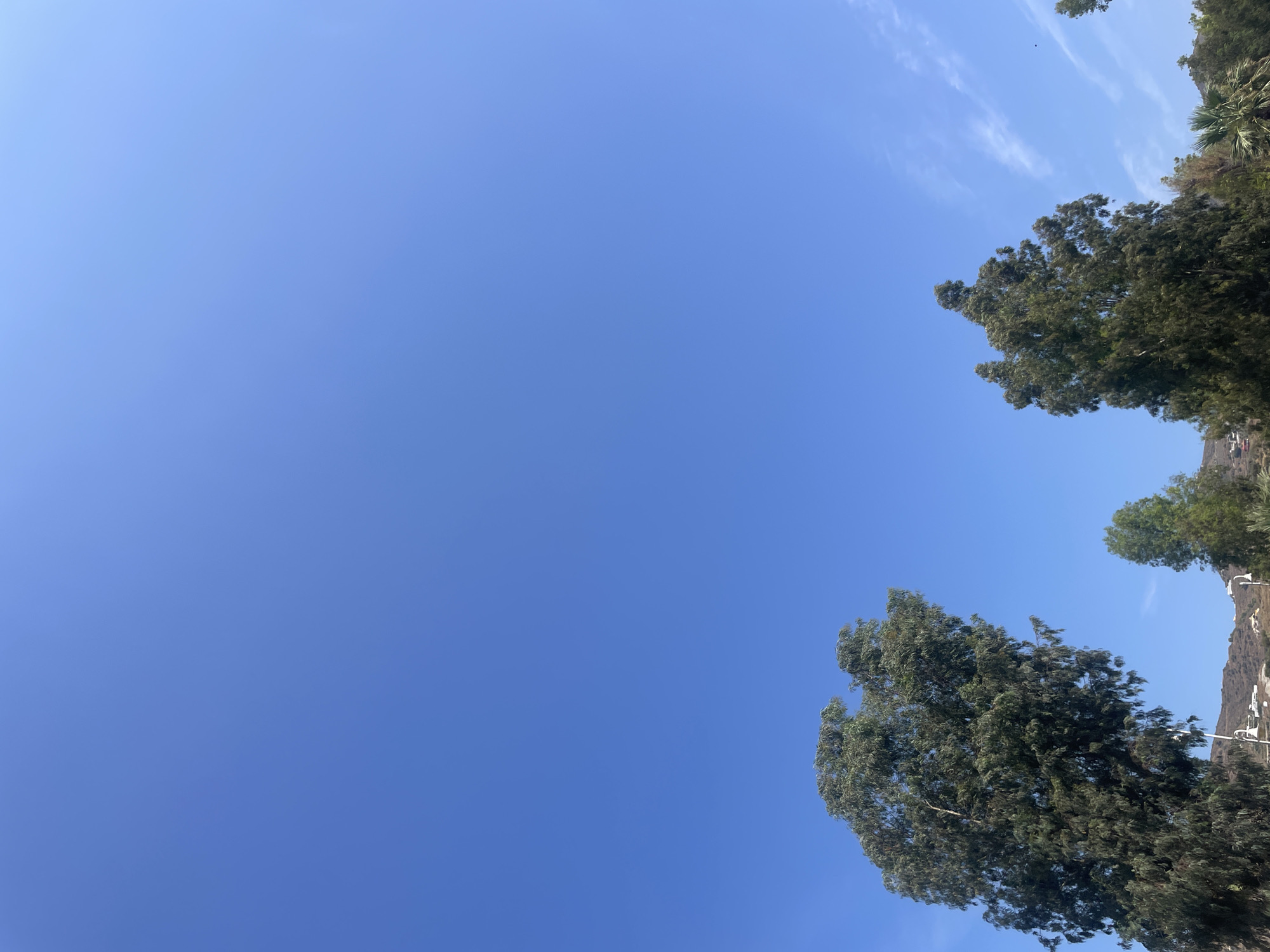 The image depicts a bright, clear blue sky, a characteristic of a sunny day in Almuñécar, Spain. The lower portion of the frame is dominated by the lush green canopies of several tall trees, likely eucalyptus given their distinctive feathery foliage, which are common in the region's coastal landscape. In the background, gentle hills are visible, dotted with white buildings, suggesting a residential or urban area nestled within the natural terrain. Faint white streaks of clouds can be seen in the sky towards the right, adding subtle texture to the vast expanse. The overall scene conveys a serene, natural setting, characteristic of the Mediterranean climate found in Almuñécar.