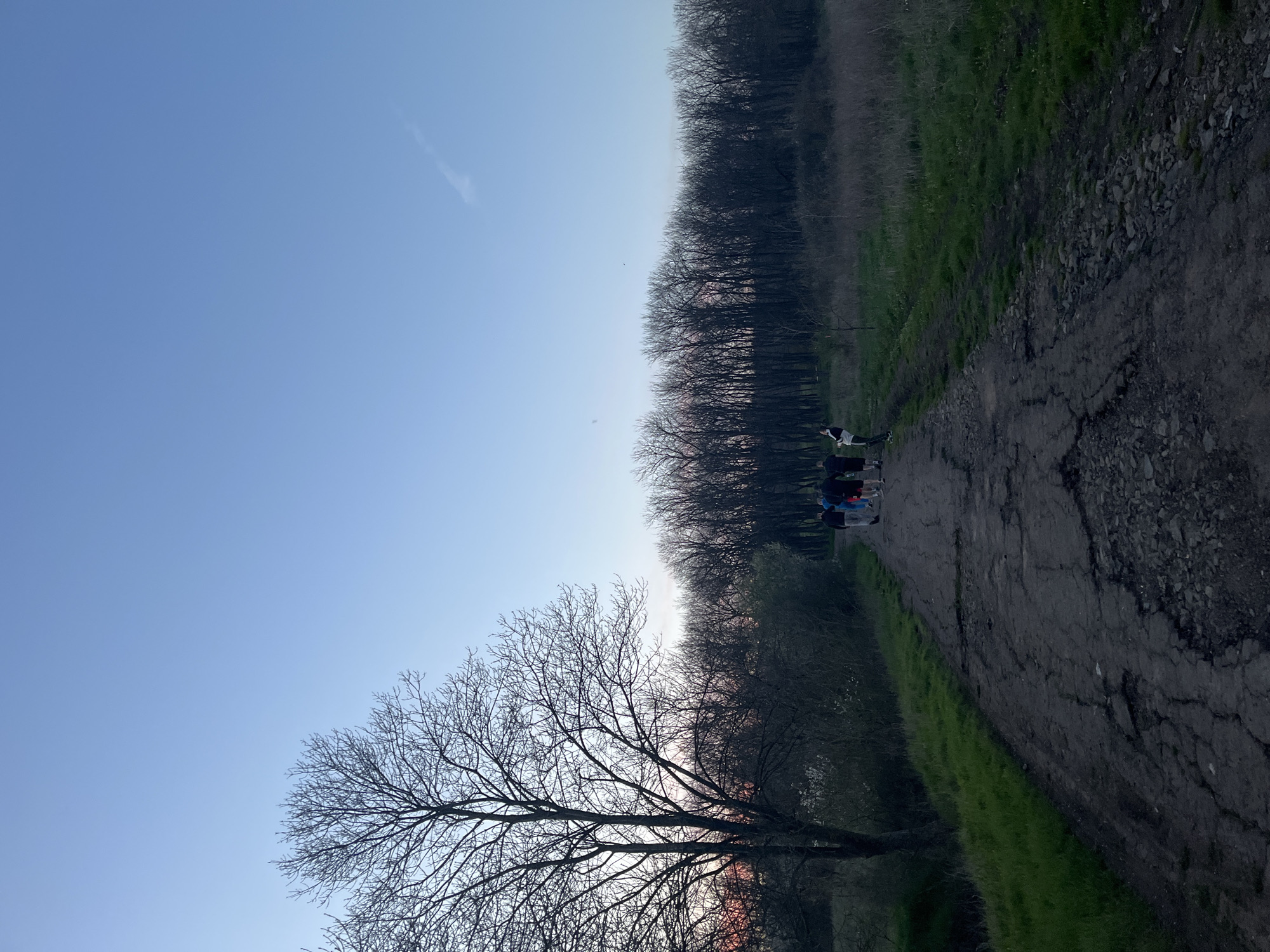 The image depicts an outdoor scene, likely a park or wooded area, in Burgas, Bulgaria. A cracked, unpaved path runs through the center, bordered by green grass on one side and a dense line of bare trees on the other. In the distance, a group of people is visible on the path. The sky is a clear, light blue, and a leafless tree is silhouetted in the lower left corner of the frame.