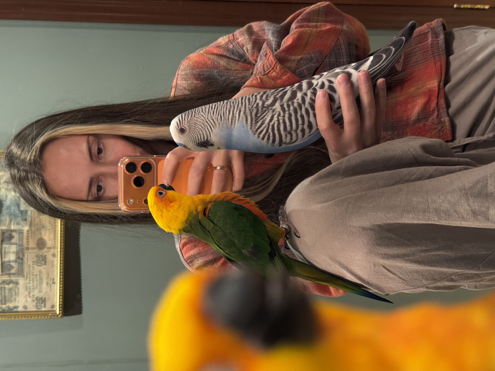 A young woman is captured in a mirror selfie, seen primarily from the chest up, in what appears to be an indoor setting in Khimki, Russia. The image is taken at an angle, with the woman looking into her smartphone as she holds it up to a mirror. Her dark hair features distinct blonde streaks, and she wears a multi-colored plaid shirt (red, orange, and grey) over a lighter-toned top.
In her right hand, she holds a blue and white plush toy resembling a budgerigar (parakeet), which is prominently featured. Perched on her left shoulder or arm, near her phone, is a vibrant live parrot, specifically a Sun Conure, with bright yellow, green, and orange plumage. The parrot is looking towards the phone or the woman's face in the reflection.
The smartphone she is holding has an orange protective case and appears to be an iPhone. A golden ring is visible on a finger of her left hand. The background reflected in the mirror shows a light teal or green wall, with a darker wooden frame or doorway at the top. To the left of her reflection, a framed picture or document with indistinct text is also visible on the wall. The scene conveys a casual, personal moment of interaction with her pets, one real and one a toy.