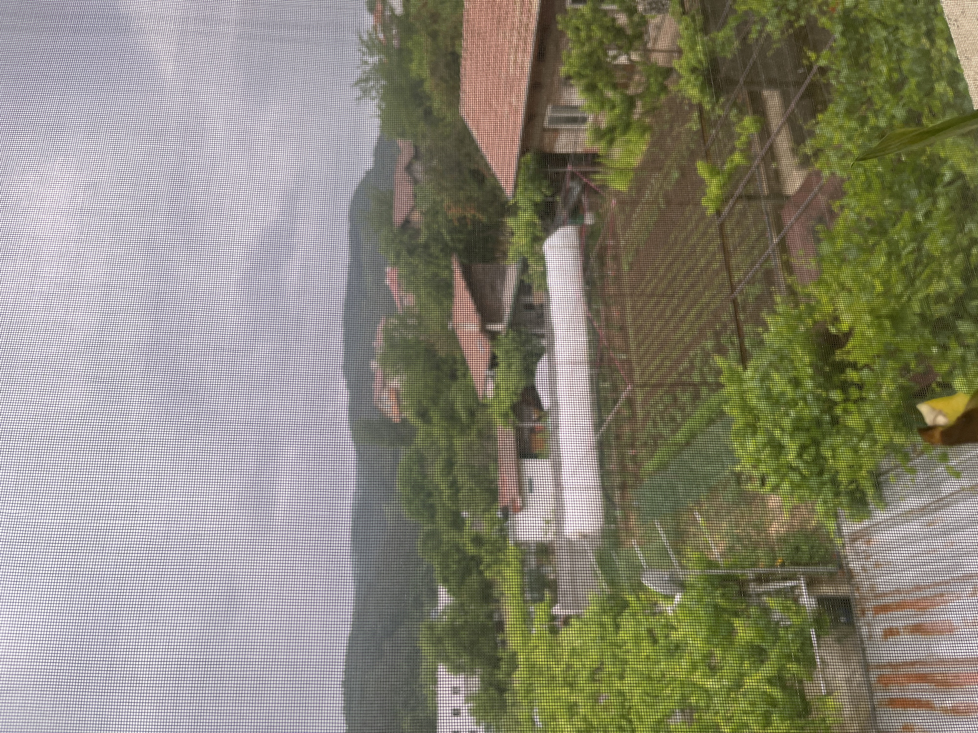 The media file displays a landscape view, captured through a dark, fine-mesh screen that imposes a distinct grid pattern across the entire image. The perspective suggests a view from a window overlooking a village or rural area.
In the midground, several buildings with characteristic red or orange tiled roofs are nestled amidst abundant green trees and lush vegetation. One notable feature is a long, white, tunnel-like structure, possibly a greenhouse or agricultural covering, situated within a garden area. Various fences and trellises are also discernible through the screen's pattern.
The background reveals rolling, densely forested hills or mountains under an overcast, light grey sky. The lighting indicates daytime, but with heavy cloud cover rather than direct sunlight.
No specific activity or event is taking place; the image is a static snapshot of the environment. There is no visible text. The overall impression is one of a peaceful, natural setting, consistent with the provided location context of Pokrovnik, Bulgaria, characterized by its traditional architecture and mountainous, green surroundings.