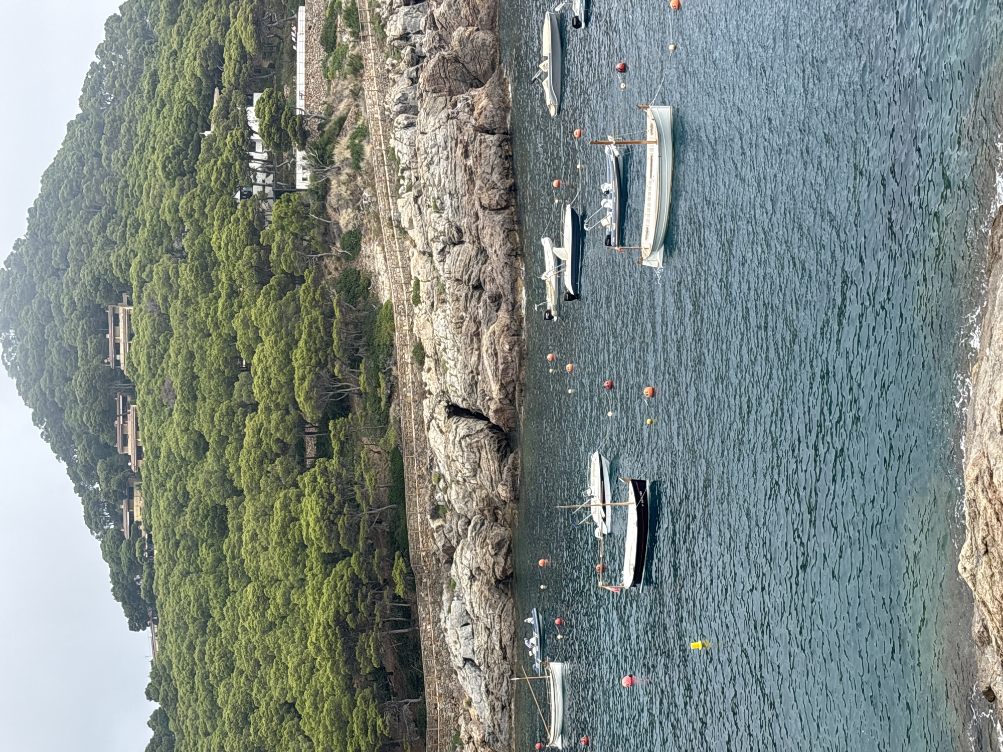The image depicts a serene coastal scene in Begur, Spain, featuring a body of water dotted with several moored boats. In the foreground, the deep blue water exhibits gentle ripples, with a rocky shoreline visible at the bottom edge. A variety of boats are present, ranging from small dinghies to larger vessels, some with outboard motors. Many of these boats are anchored and appear to be at rest. The water is calm, suggesting a peaceful atmosphere.
In the middle ground, a rugged, rocky coastline rises from the water. These rocks are textured and varied in color, with some sections appearing eroded and others more solid. A wooden fence or railing runs along the top of this rocky area, delineating a pathway or overlook.
Dominating the background is a lush, tree-covered hillside, characteristic of the Begur landscape. The trees are dense and green, creating a verdant canopy that extends up the slope. Scattered amongst the trees are several houses and villas, with terracotta roofs and light-colored facades, blending into the natural environment. The sky above is overcast and a pale gray, contributing to the muted light of the scene. The overall impression is one of a tranquil Mediterranean bay, likely a popular spot for leisure boating and enjoying the natural beauty of the Costa Brava.