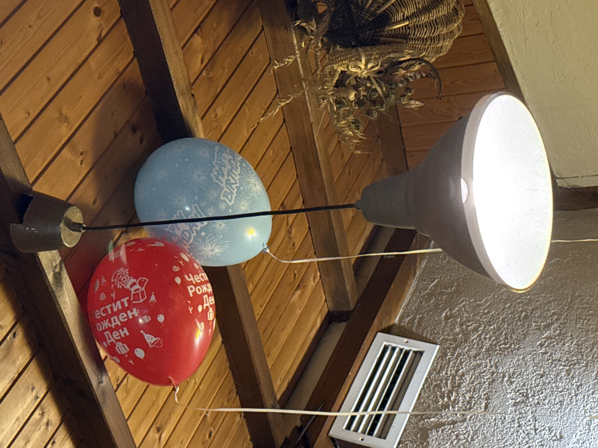 This image captures an indoor scene, likely a celebration, featuring a rustic wooden ceiling and several festive elements. The primary subjects are two balloons, a red one and a light blue one, hanging amidst the wooden beams.
The red balloon, positioned prominently on the left, displays white text and graphics. The text, in Cyrillic, translates to "Честит рожден ден," which means "Happy Birthday." Surrounding the text are small illustrations of birthday cakes, wrapped gifts, party hats, and confetti. The light blue balloon, to the right of the red one, also has white text and designs, which partially read "HAPPY BIRTHDAY" with fireworks or starburst patterns.
Above the balloons, a large, dark woven basket adorned with dried plant material, possibly corn husks and straw, is suspended from the wooden ceiling, adding a natural or decorative touch. A modern, industrial-style light fixture with a large, bright, cone-shaped shade emits a strong white light, illuminating the upper right portion of the image.
The wooden ceiling consists of diagonal planks and sturdy beams, indicating a warm, possibly cabin-like or traditional interior. Below the light fixture and to the right, a silver-colored rectangular air vent is visible on a light-colored, textured wall. White strings or ribbons, likely from the balloons, crisscross the scene.
The setting suggests a birthday event or party taking place indoors, possibly in a restaurant or a home with a distinctive wooden interior, located in Pleven, Bulgaria. The strong artificial light implies it could be evening or simply an indoor space without much natural light.